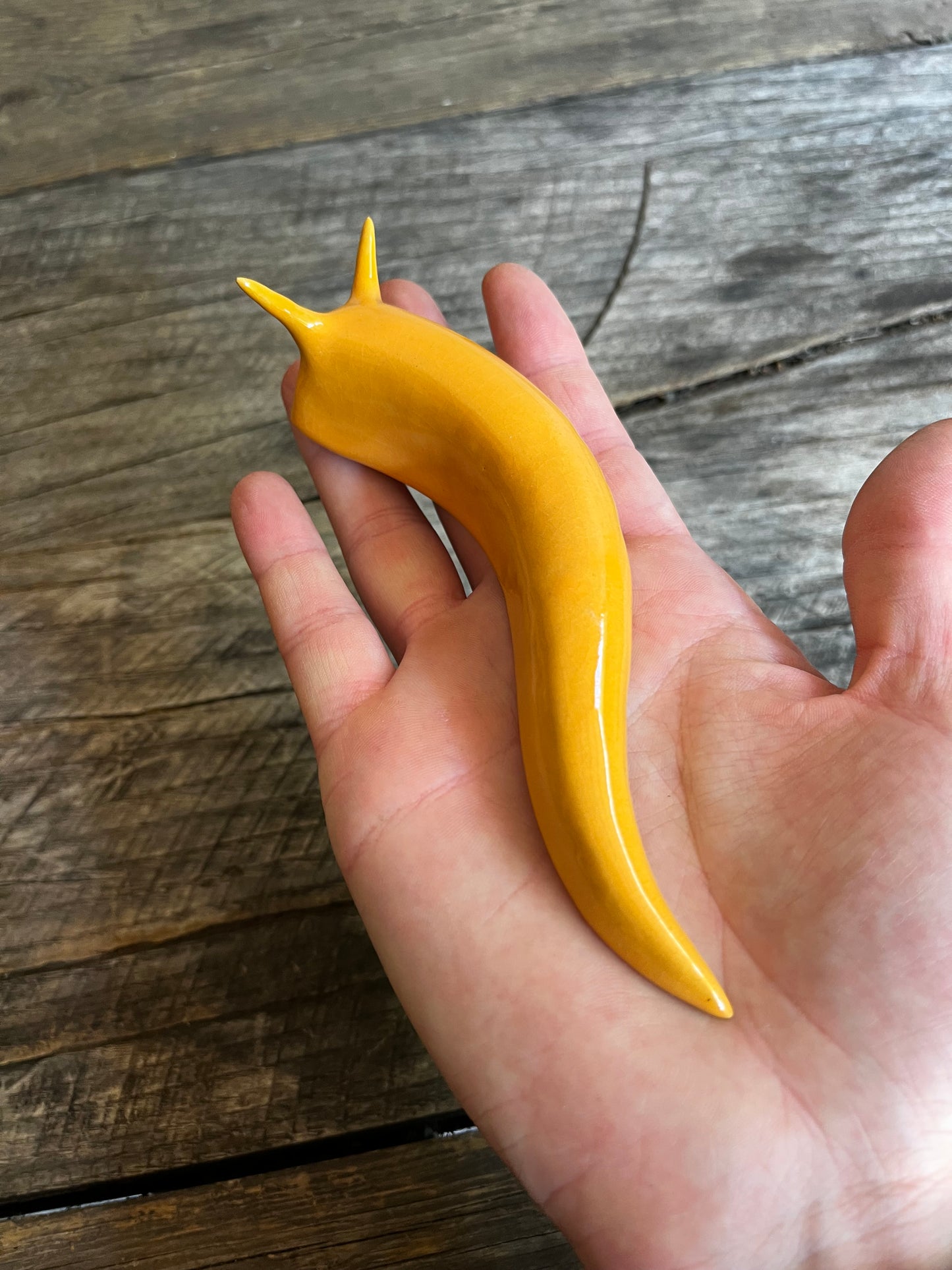 Ceramic Jumbo Slug