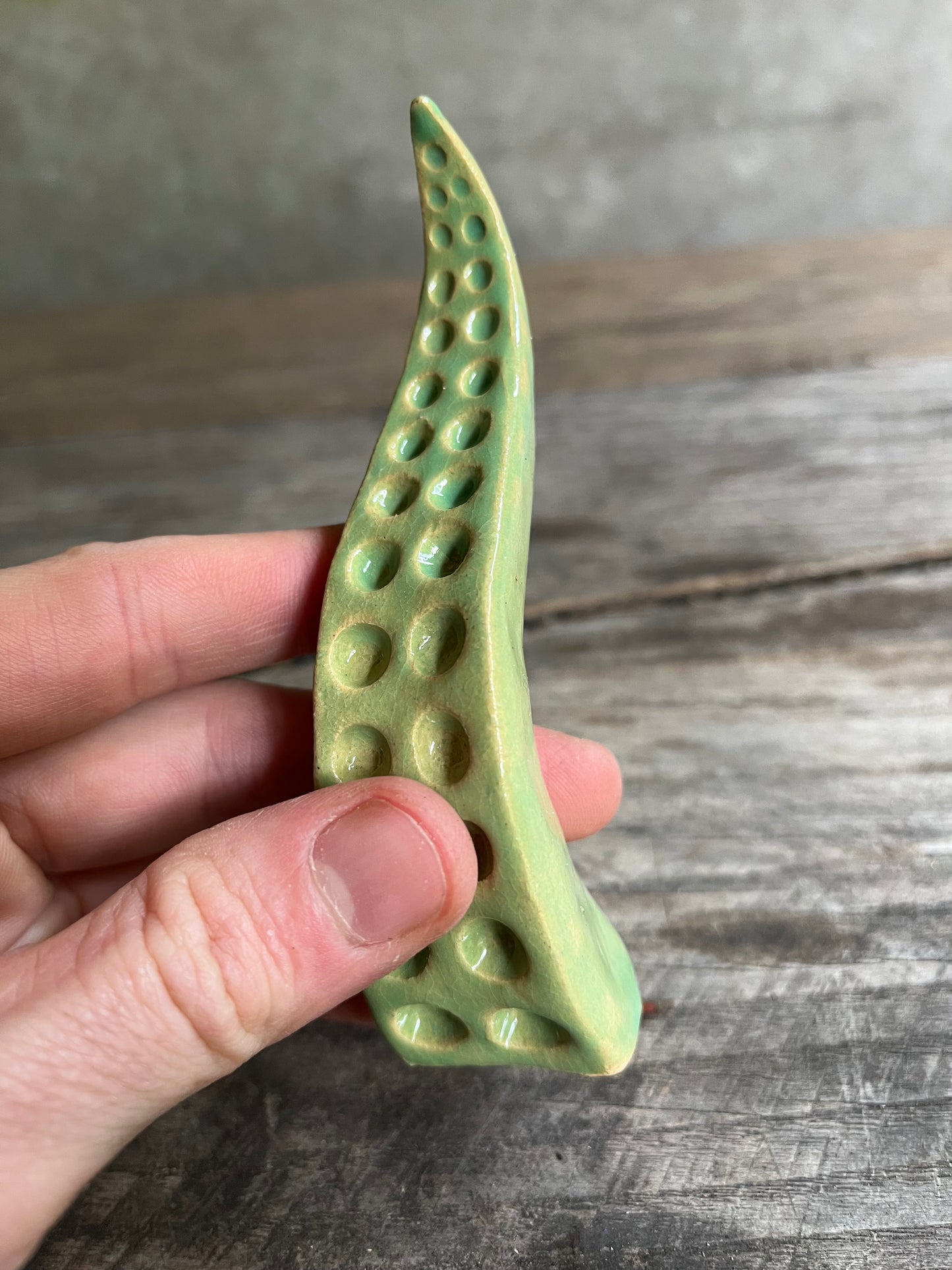 Ceramic tentacle ring holder