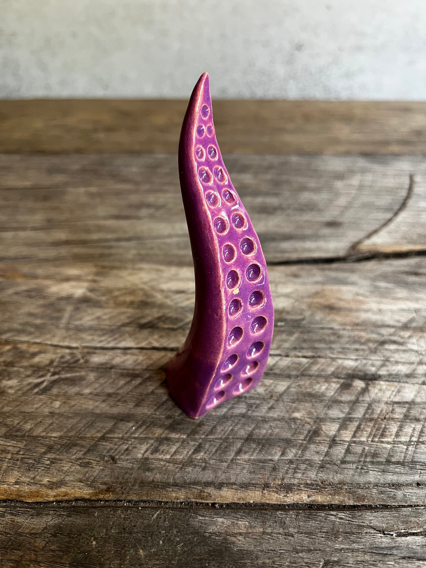 Ceramic tentacle ring holder