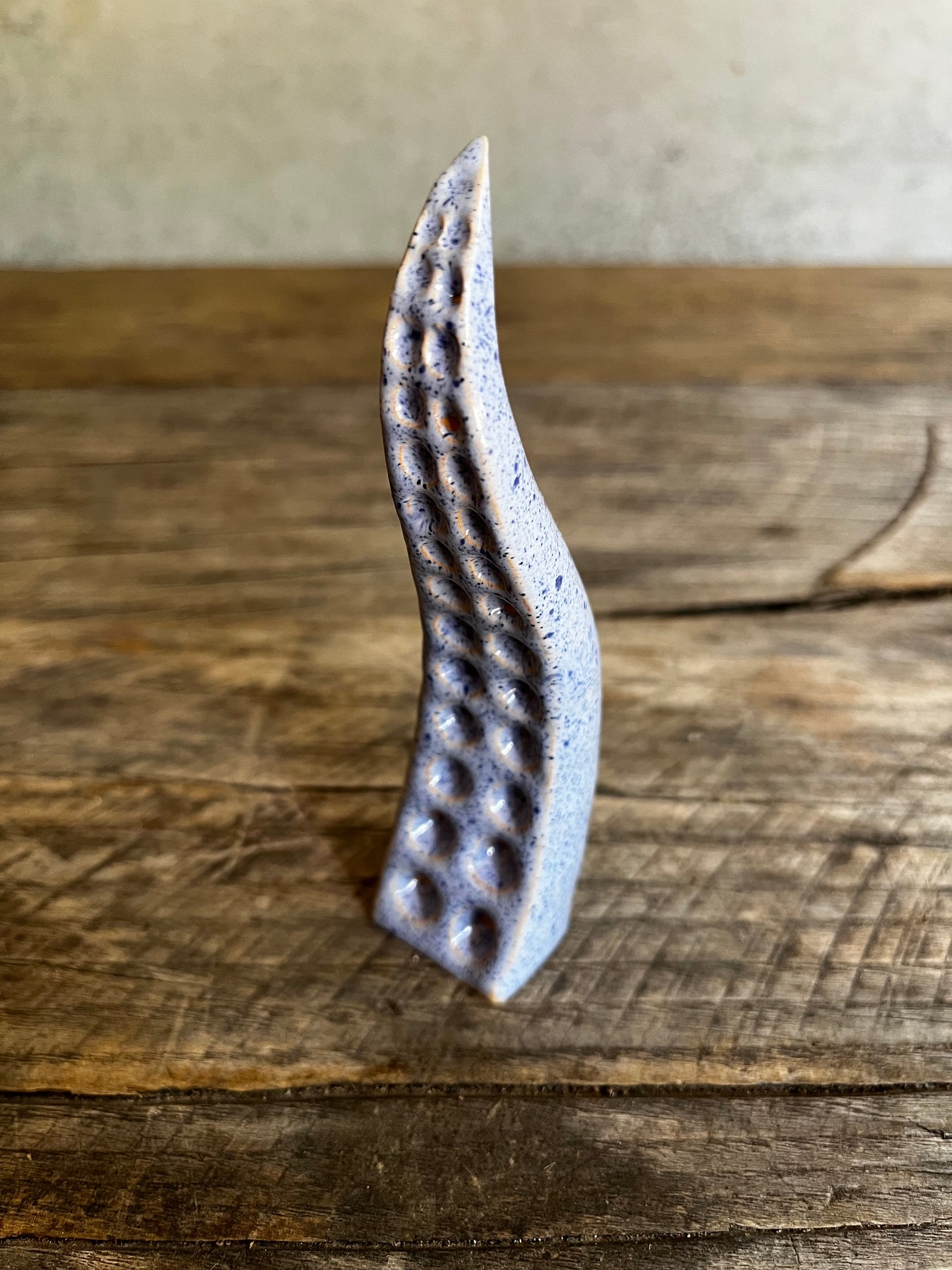 Ceramic tentacle ring holder