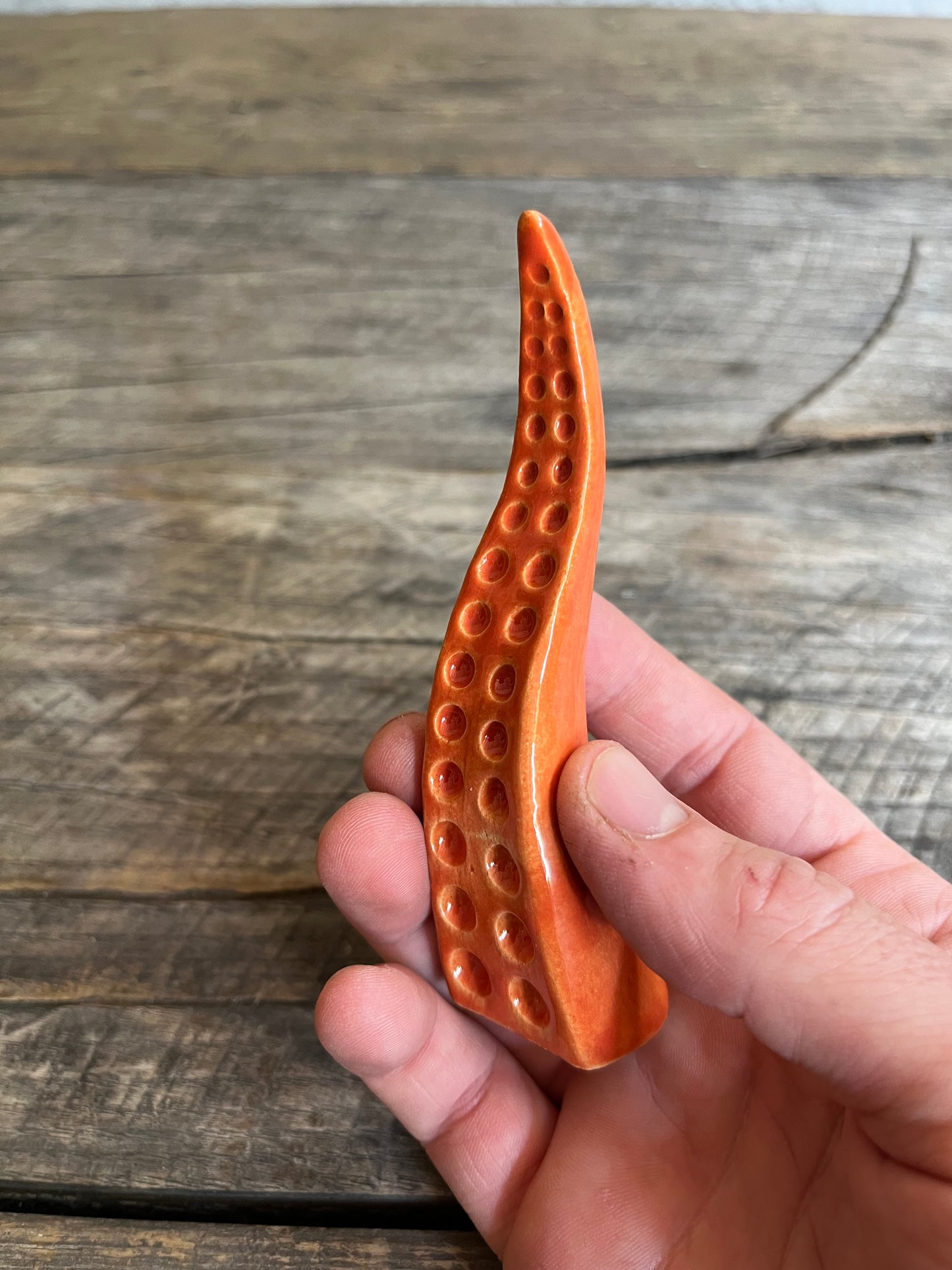 Ceramic tentacle ring holder