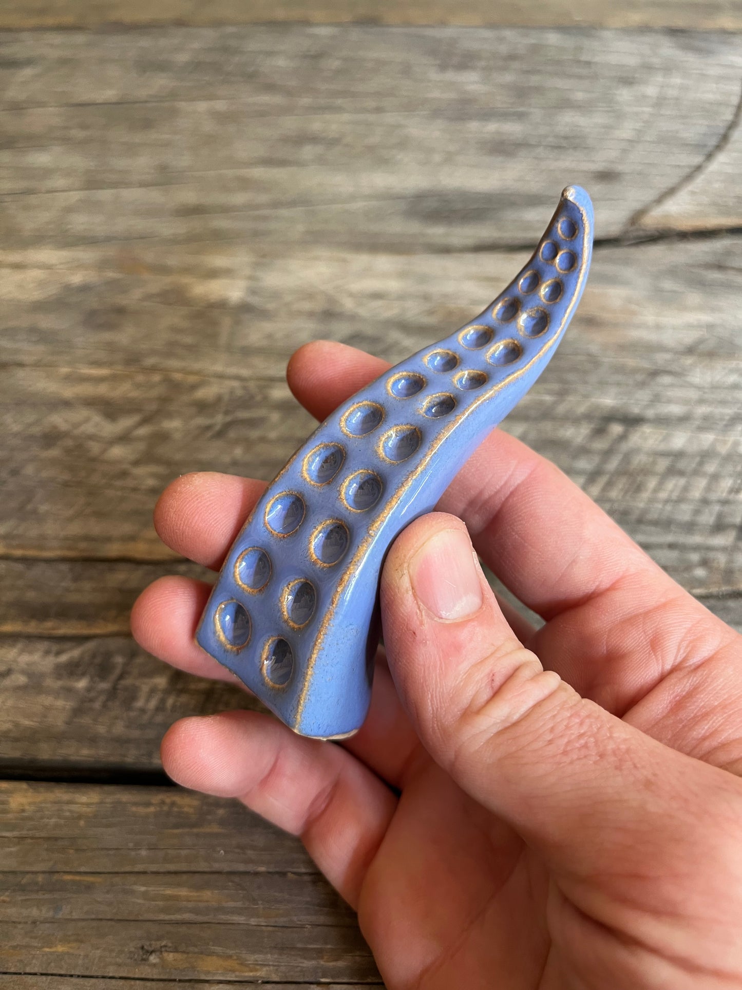 Ceramic tentacle ring holder