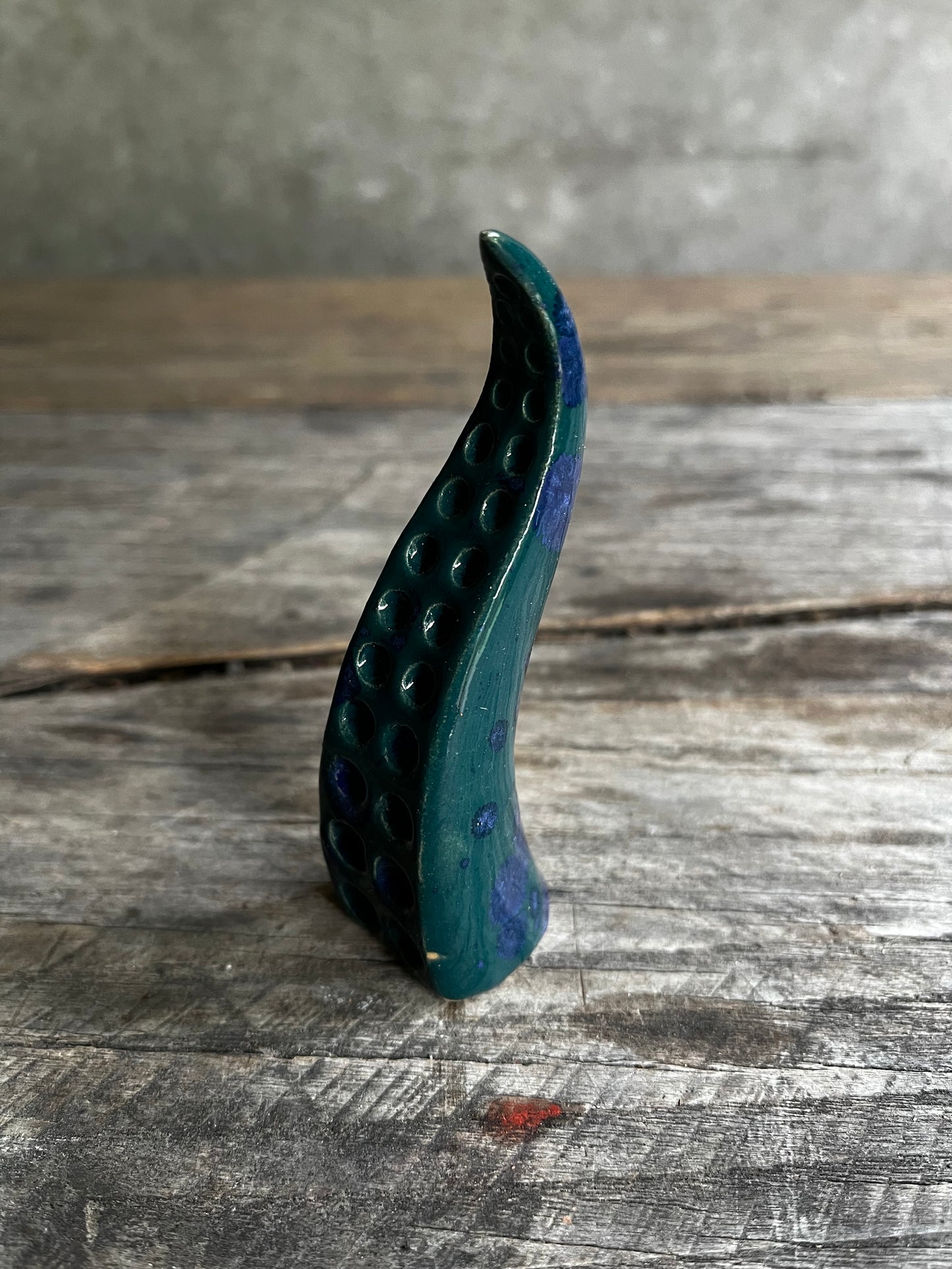 Ceramic tentacle ring holder