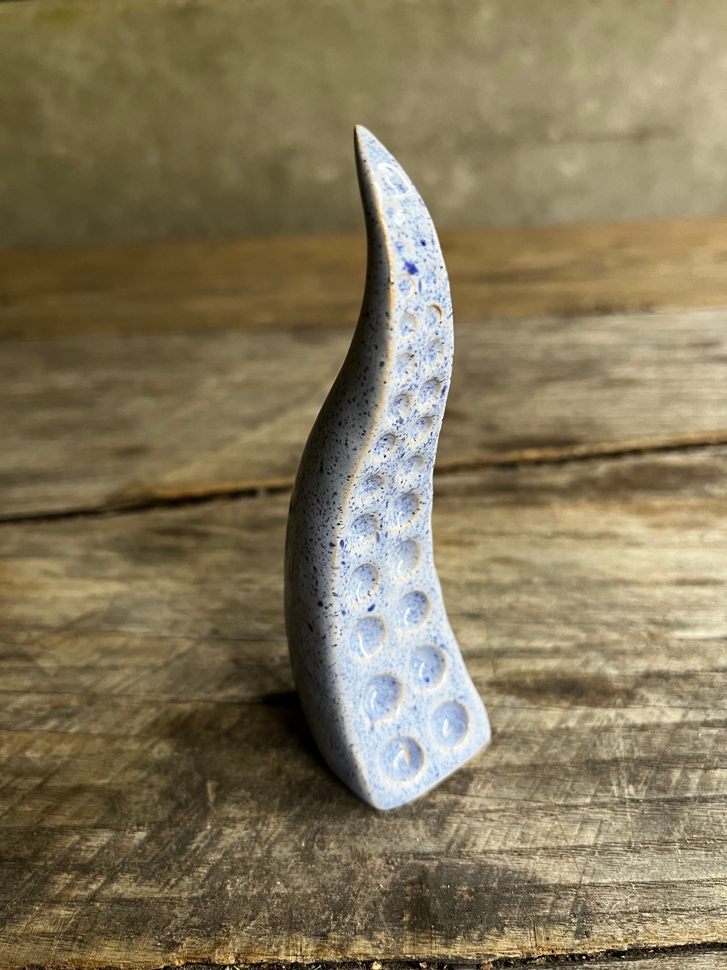 Ceramic tentacle ring holder