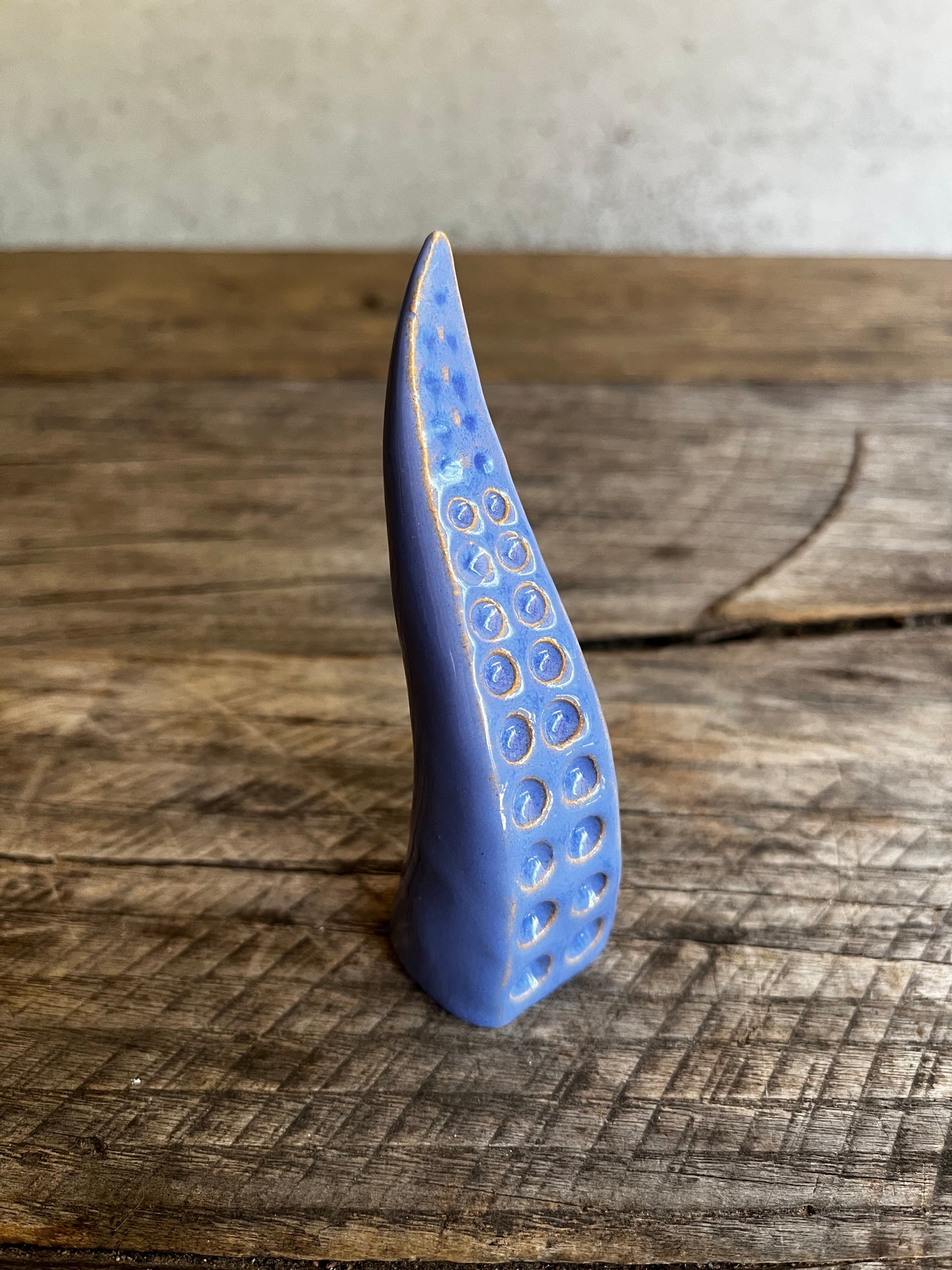 Ceramic tentacle ring holder