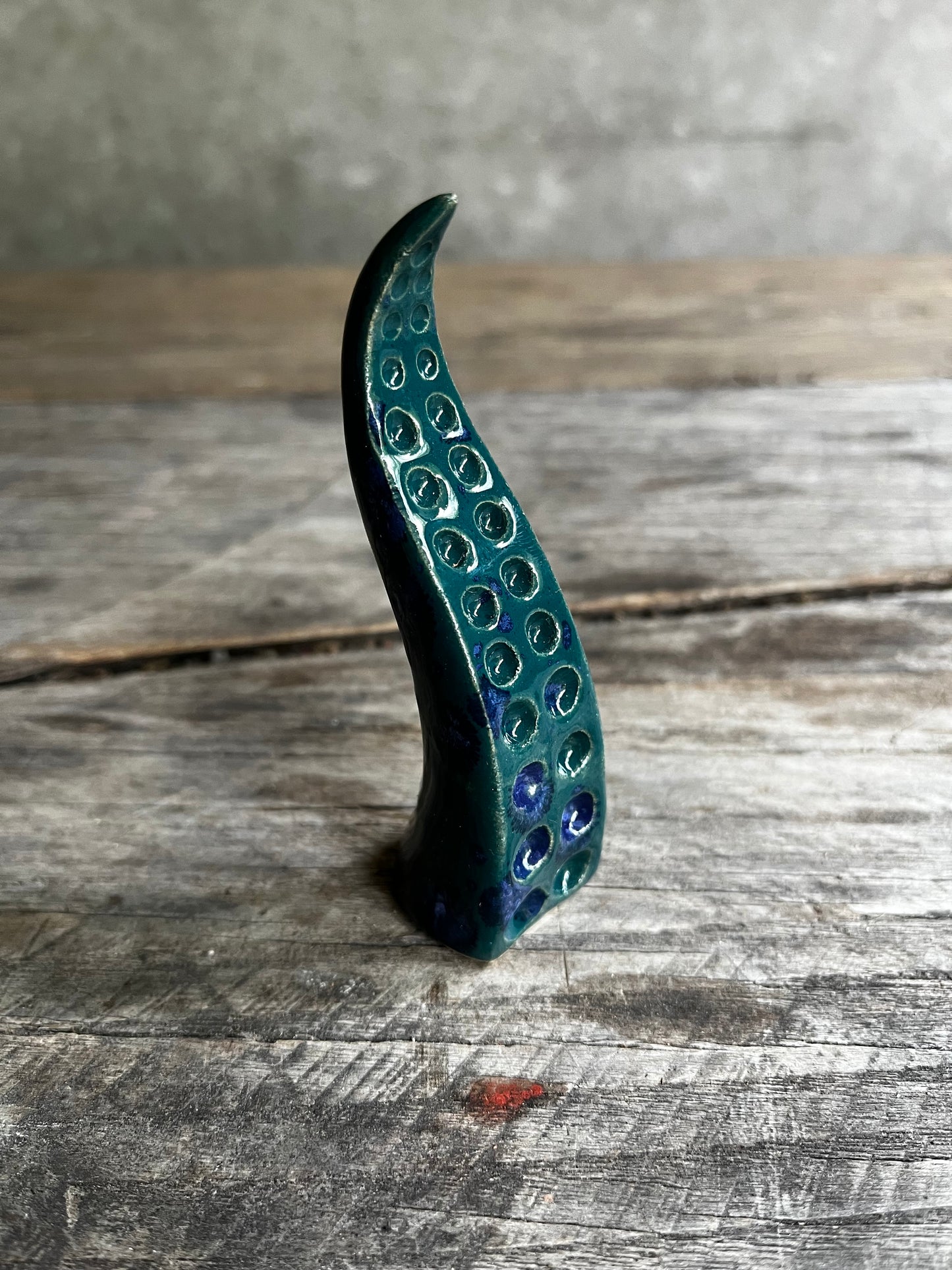 Ceramic tentacle ring holder