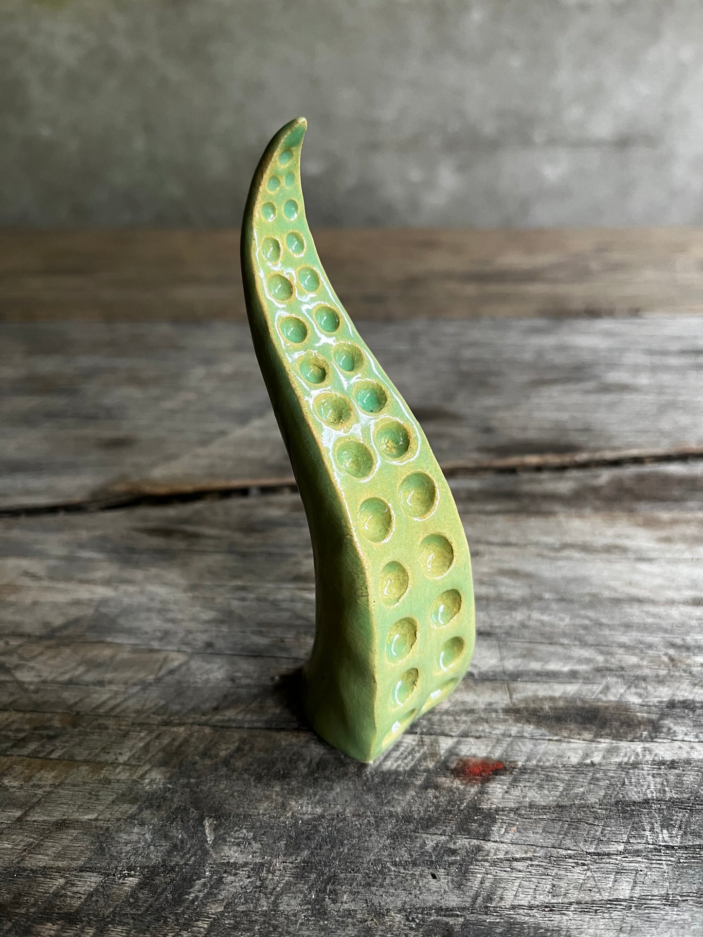 Ceramic tentacle ring holder