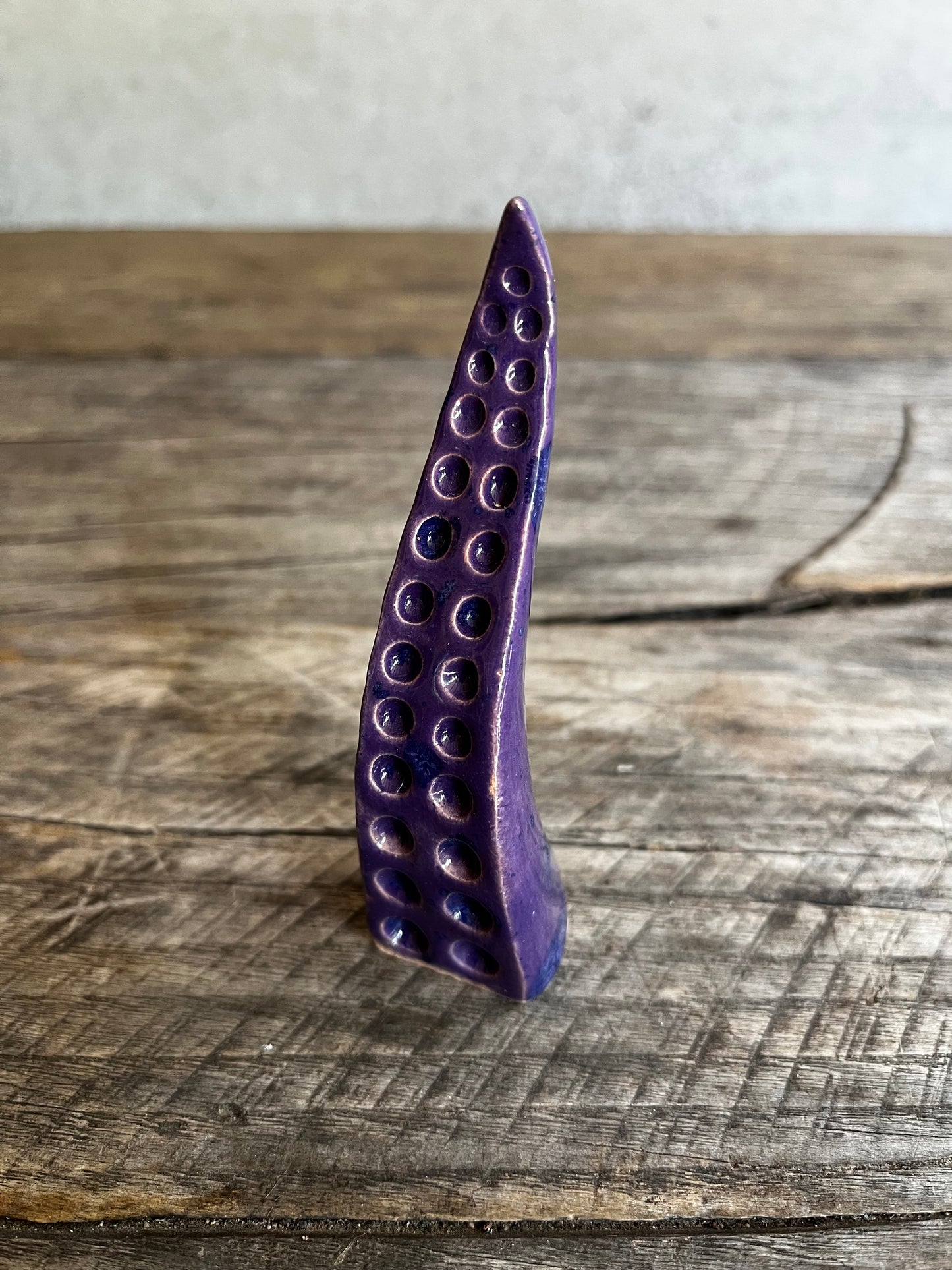 Ceramic tentacle ring holder