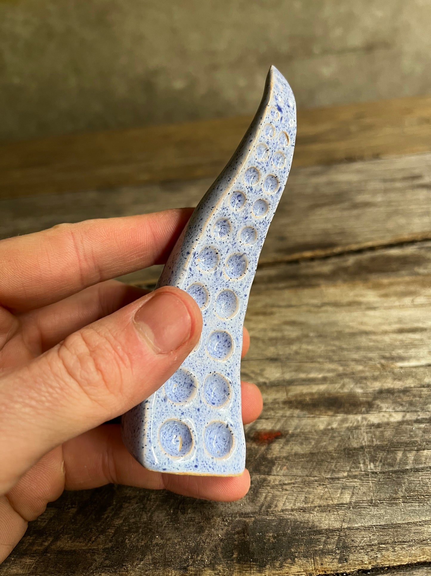 Ceramic tentacle ring holder