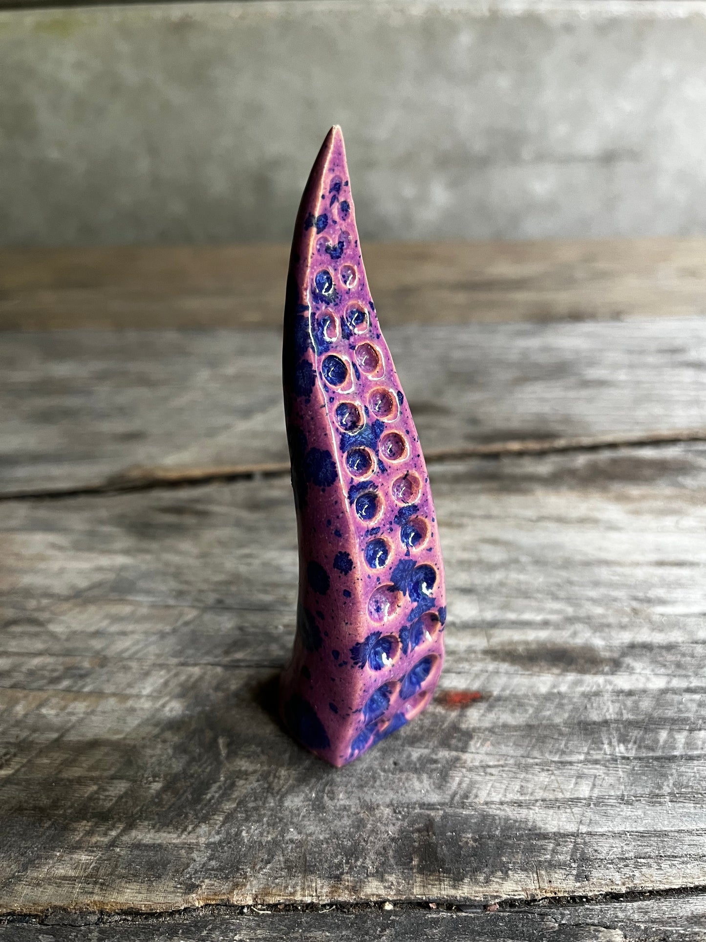 Ceramic tentacle ring holder