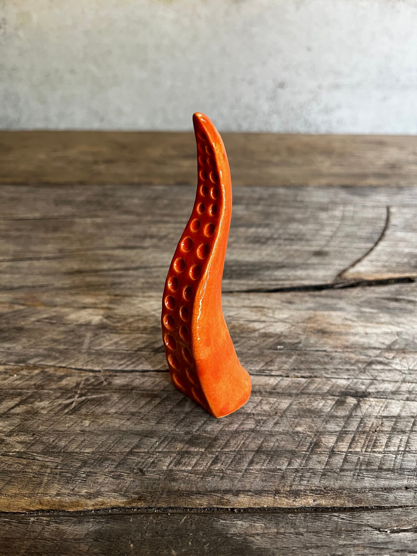 Ceramic tentacle ring holder
