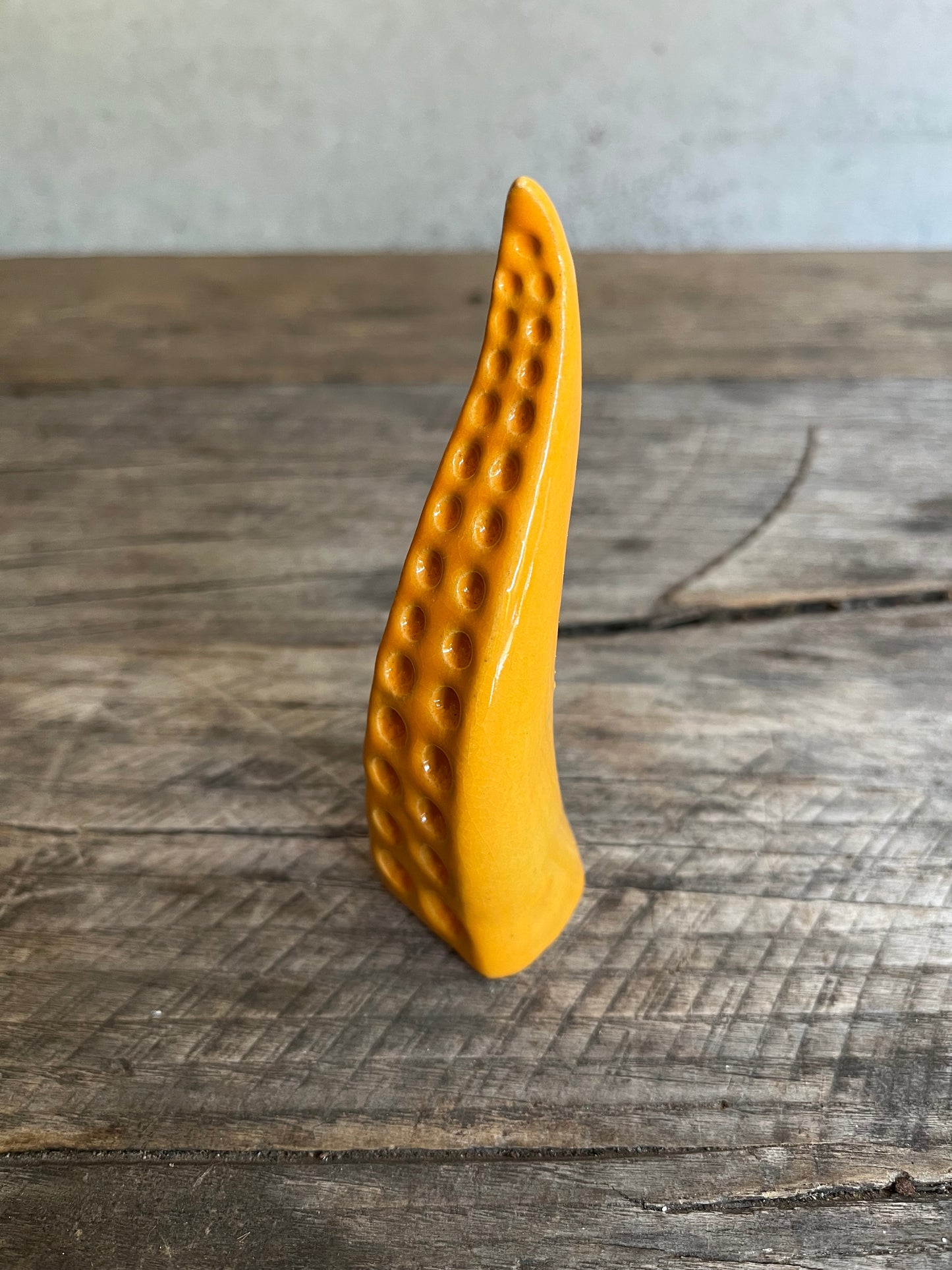 Ceramic tentacle ring holder