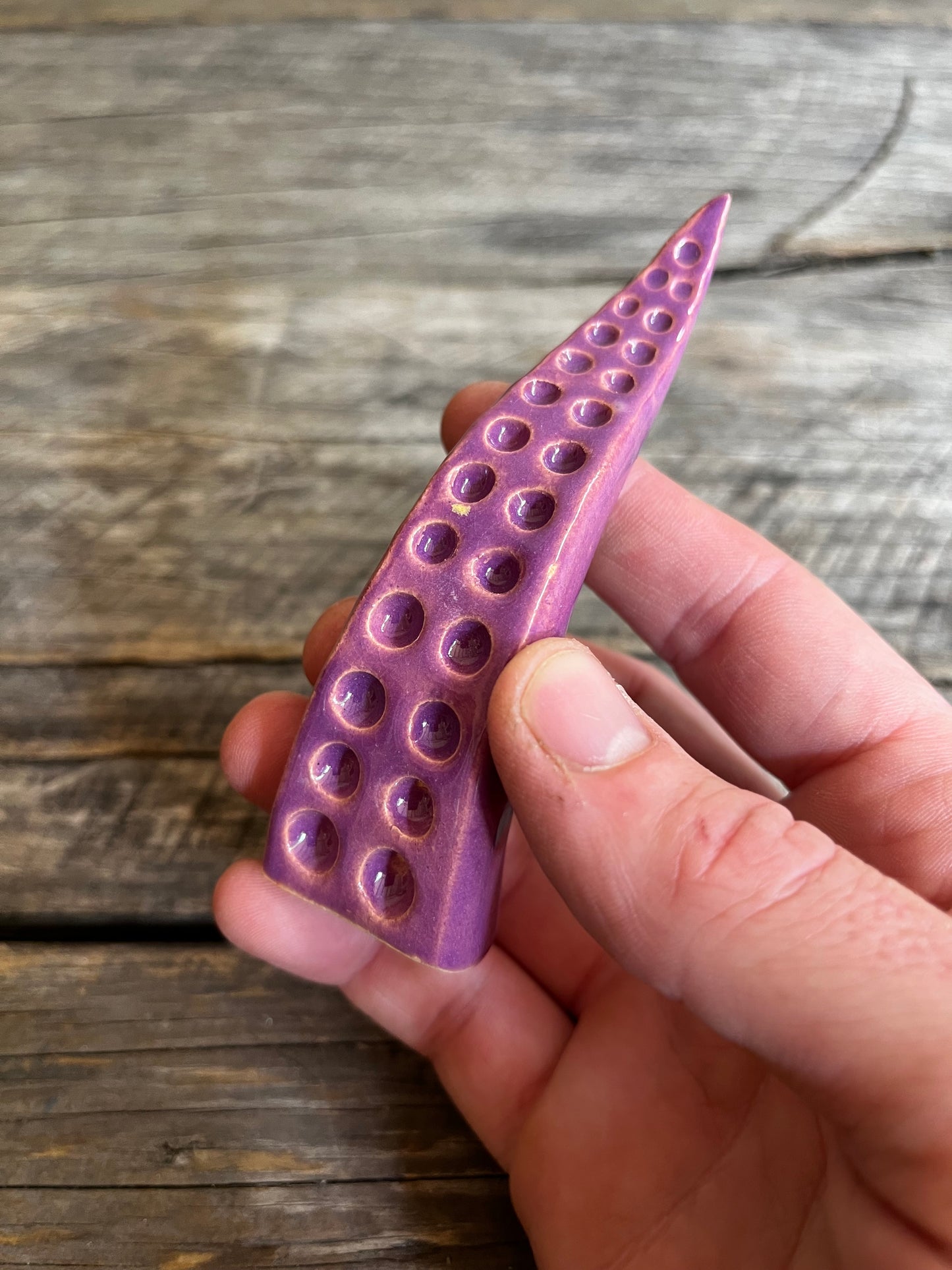 Ceramic tentacle ring holder
