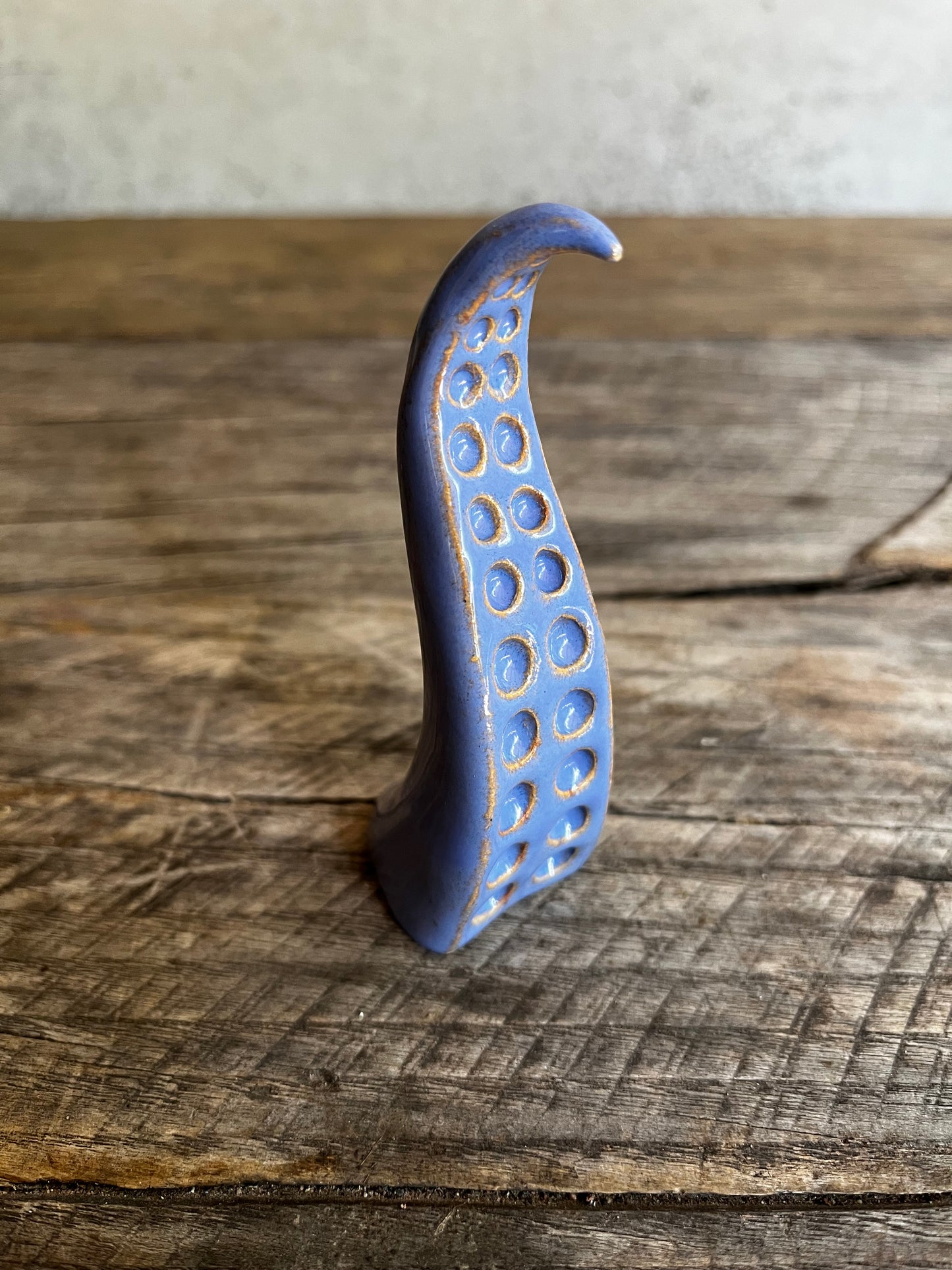 Ceramic tentacle ring holder