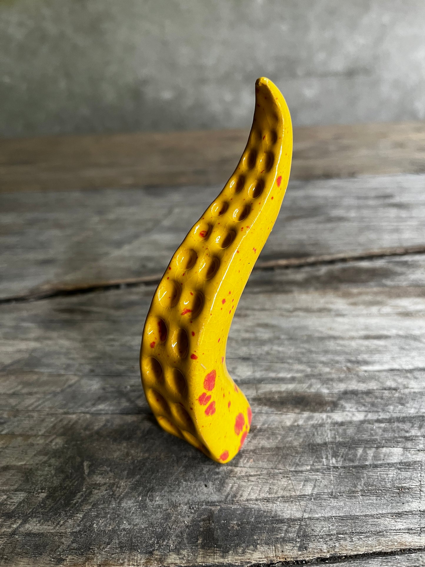 Ceramic tentacle ring holder