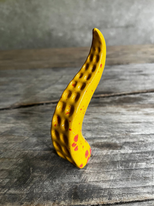 Ceramic tentacle ring holder