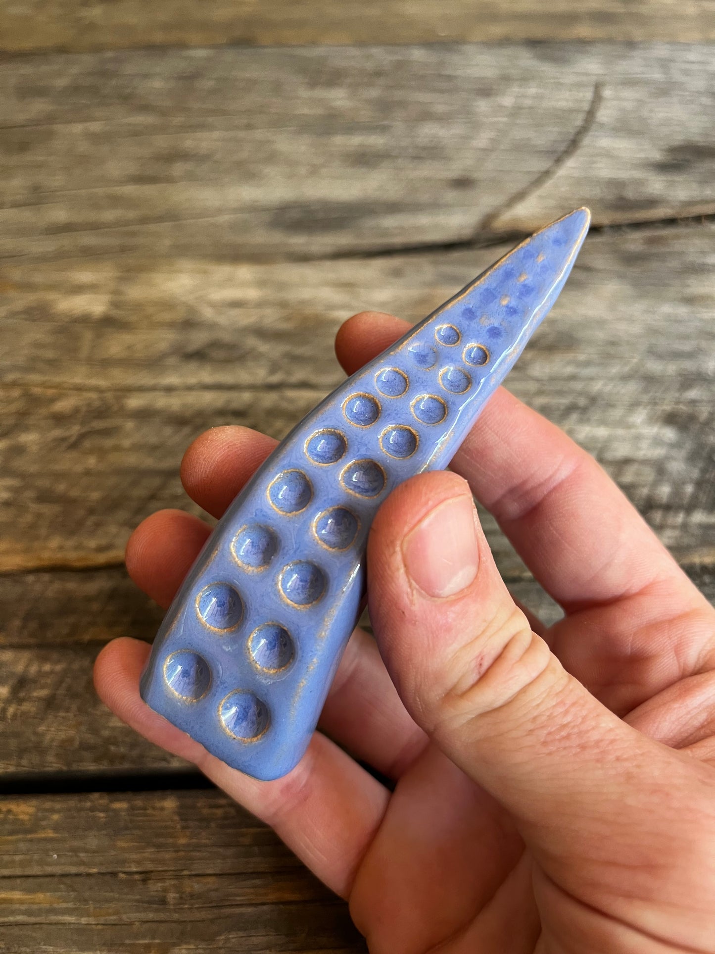 Ceramic tentacle ring holder
