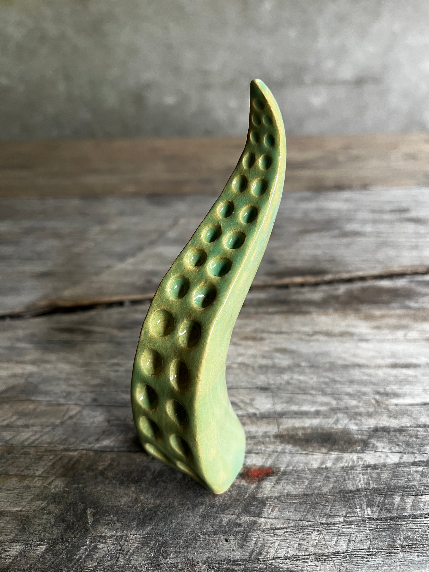 Ceramic tentacle ring holder