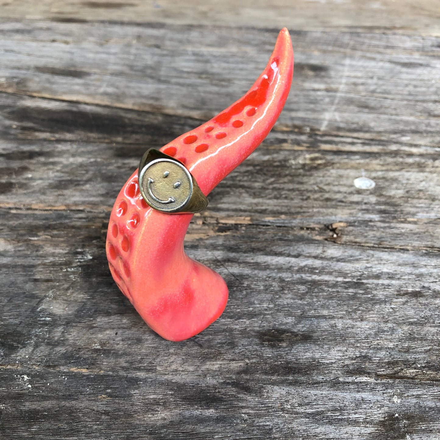 Ceramic tentacle ring holder