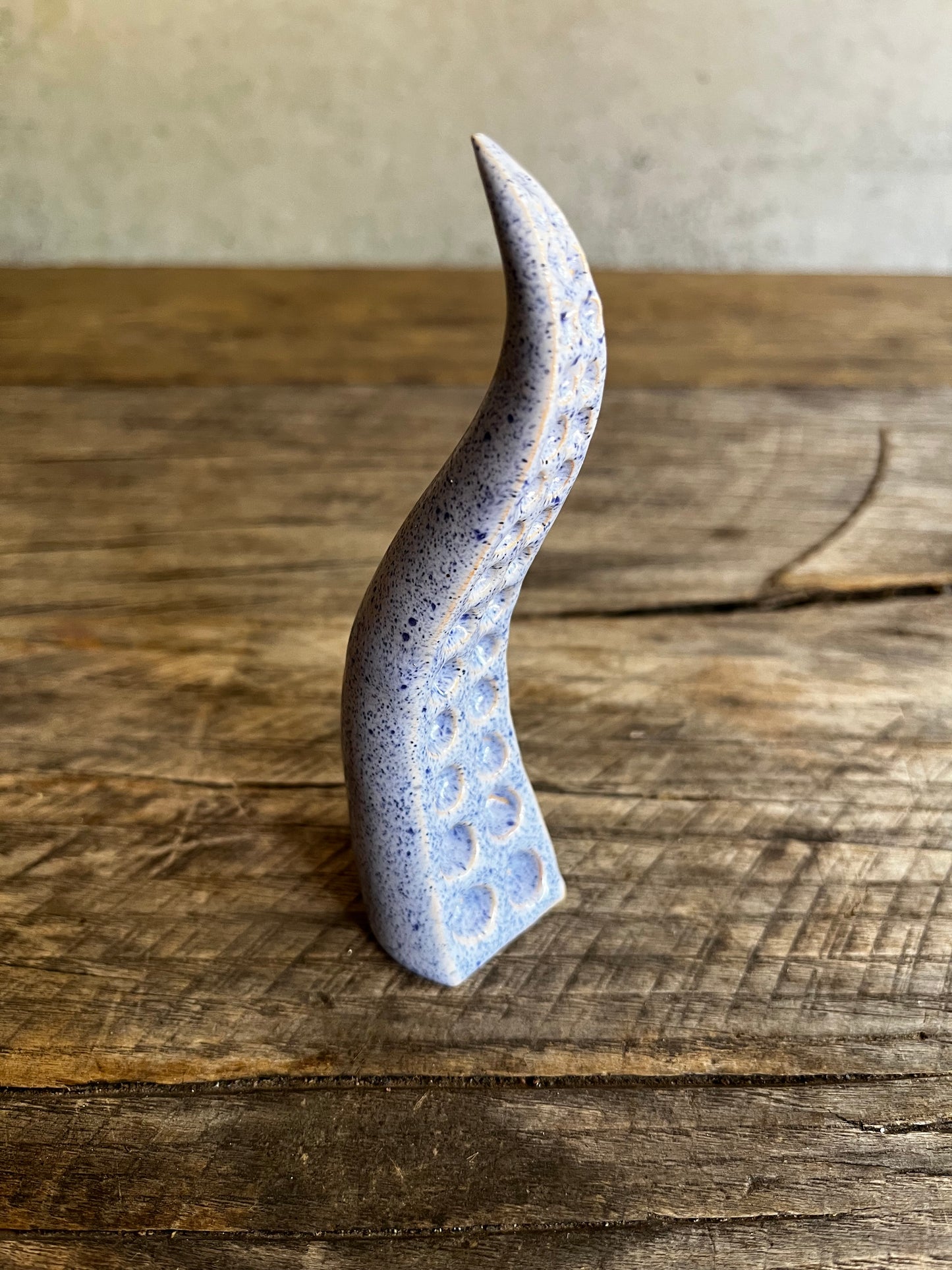 Ceramic tentacle ring holder
