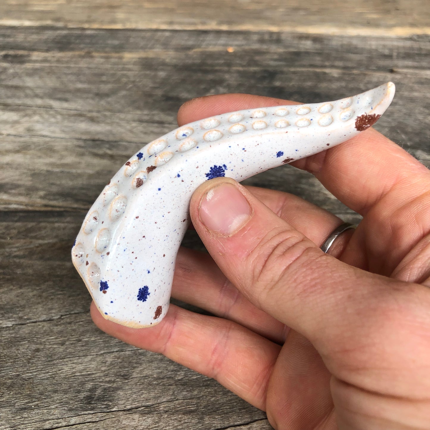 Ceramic tentacle ring holder