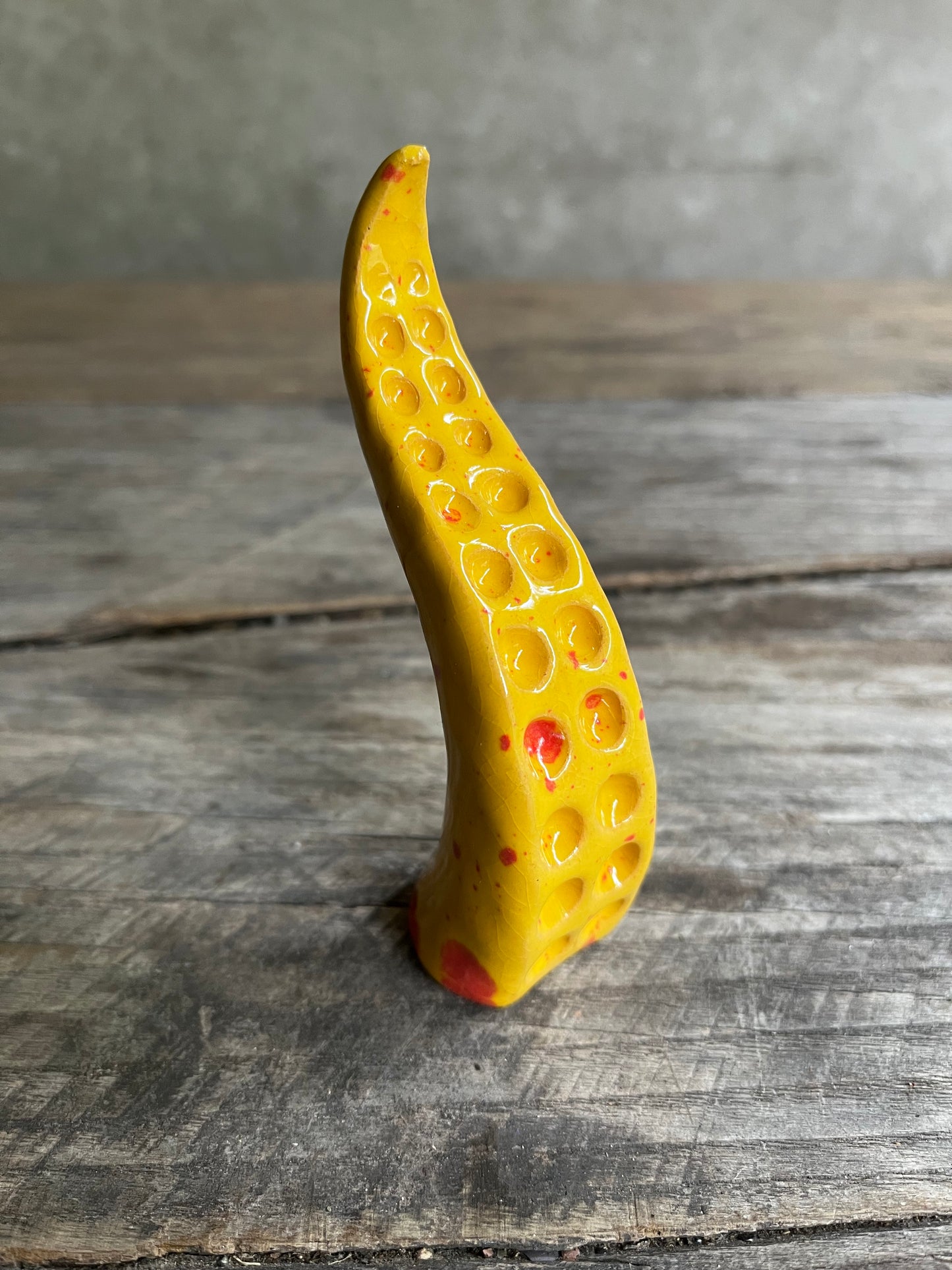 Ceramic tentacle ring holder