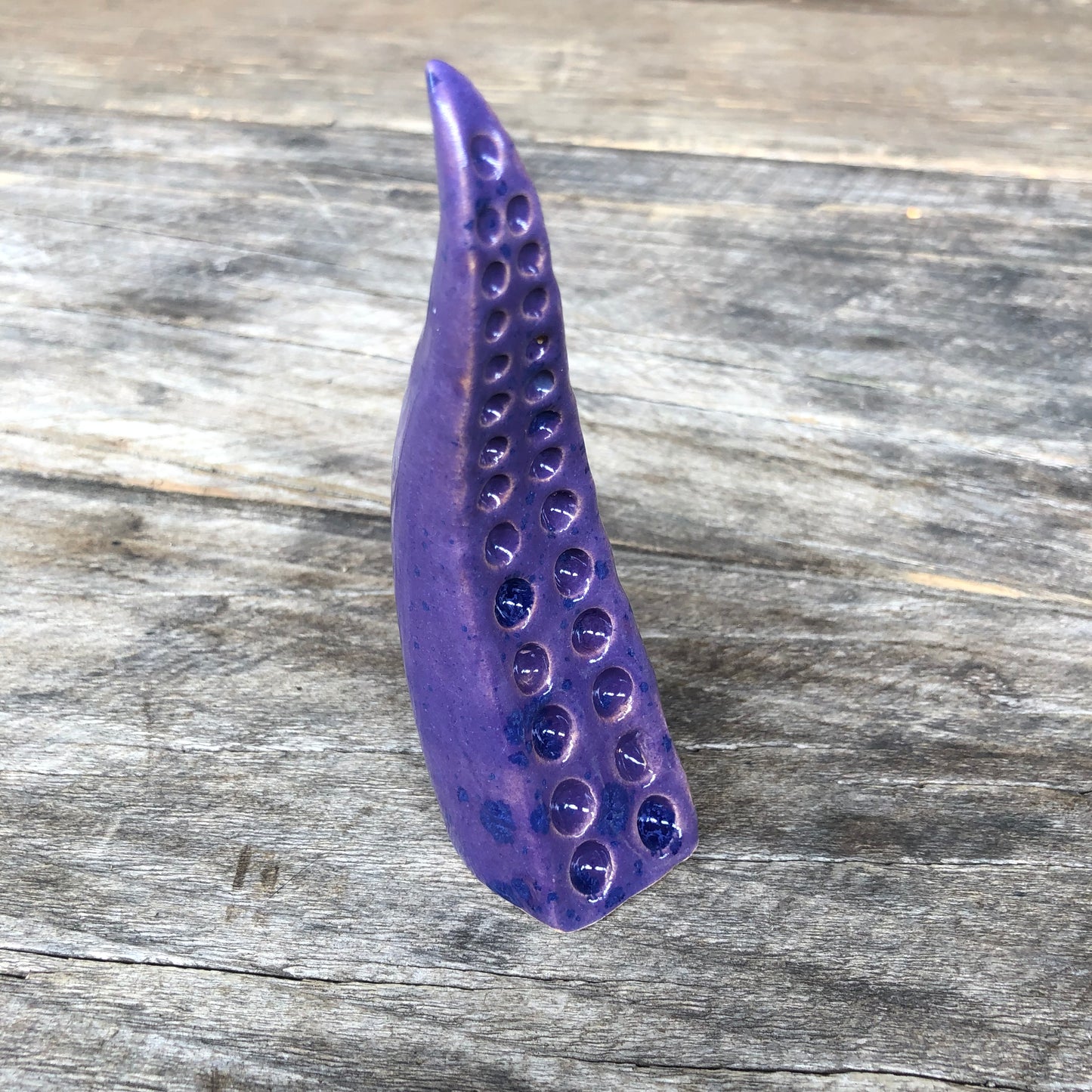 Ceramic tentacle ring holder