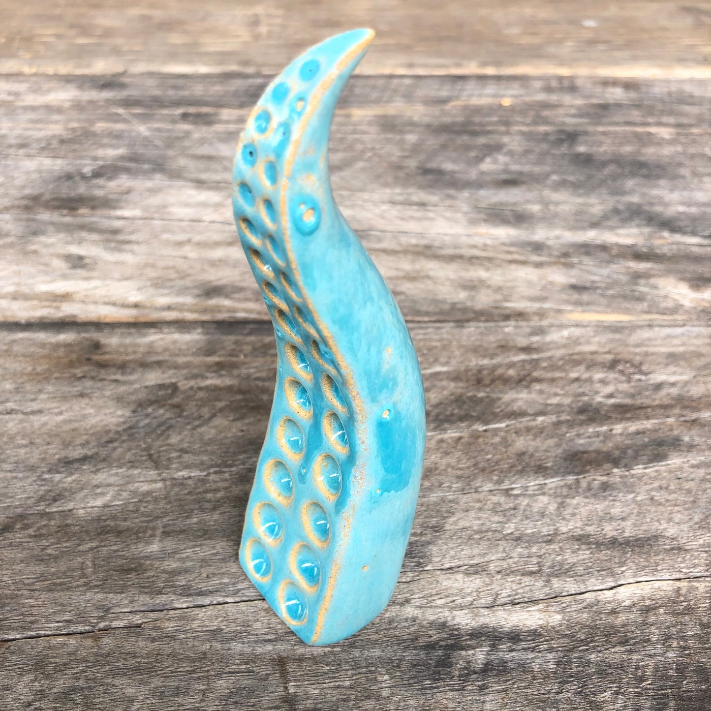 Ceramic tentacle ring holder