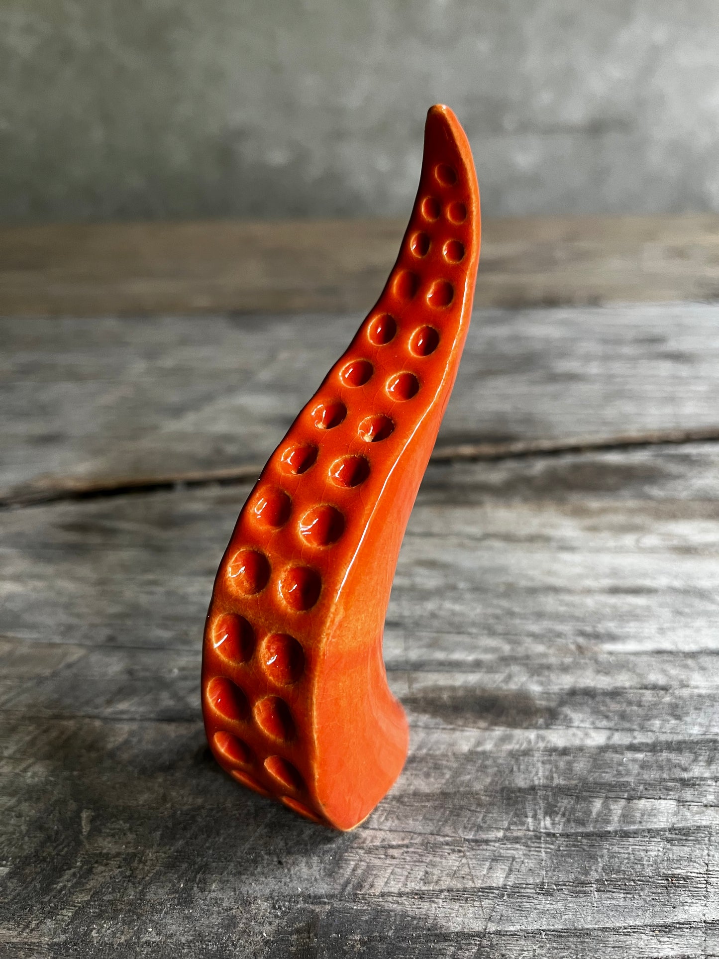 Ceramic tentacle ring holder