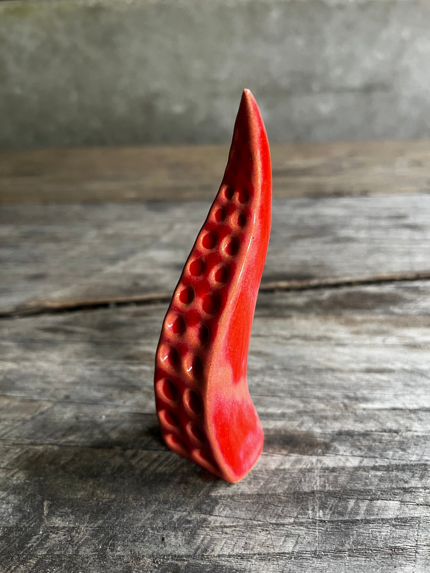 Ceramic tentacle ring holder