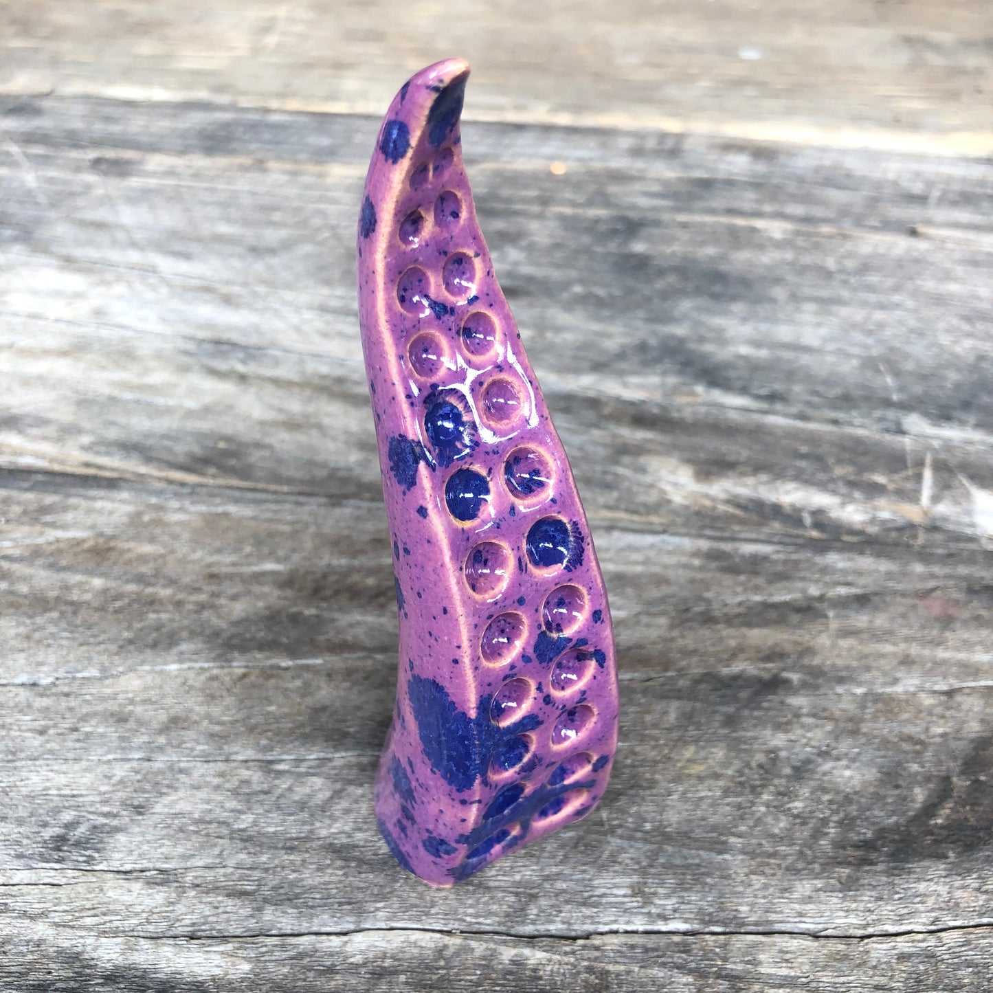 Ceramic tentacle ring holder