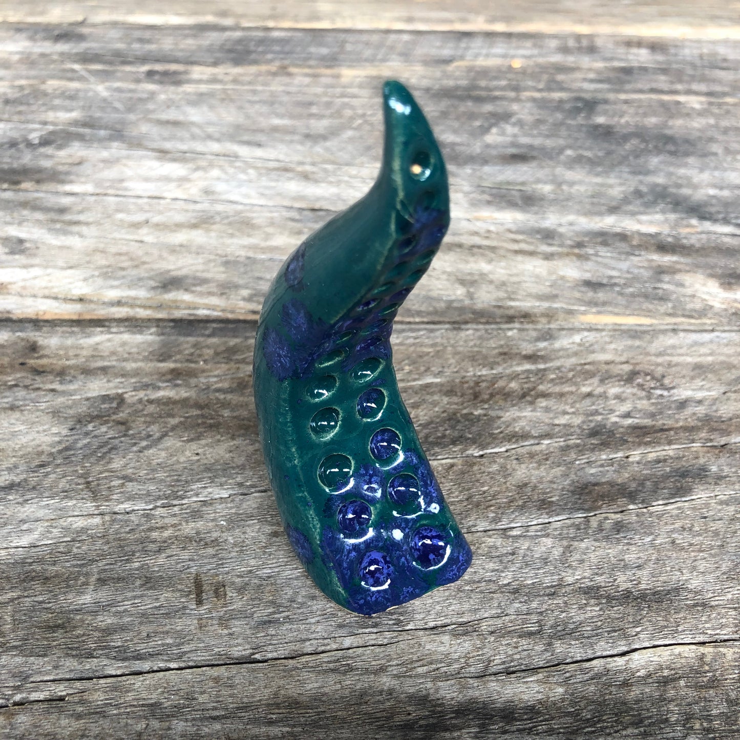 Ceramic tentacle ring holder