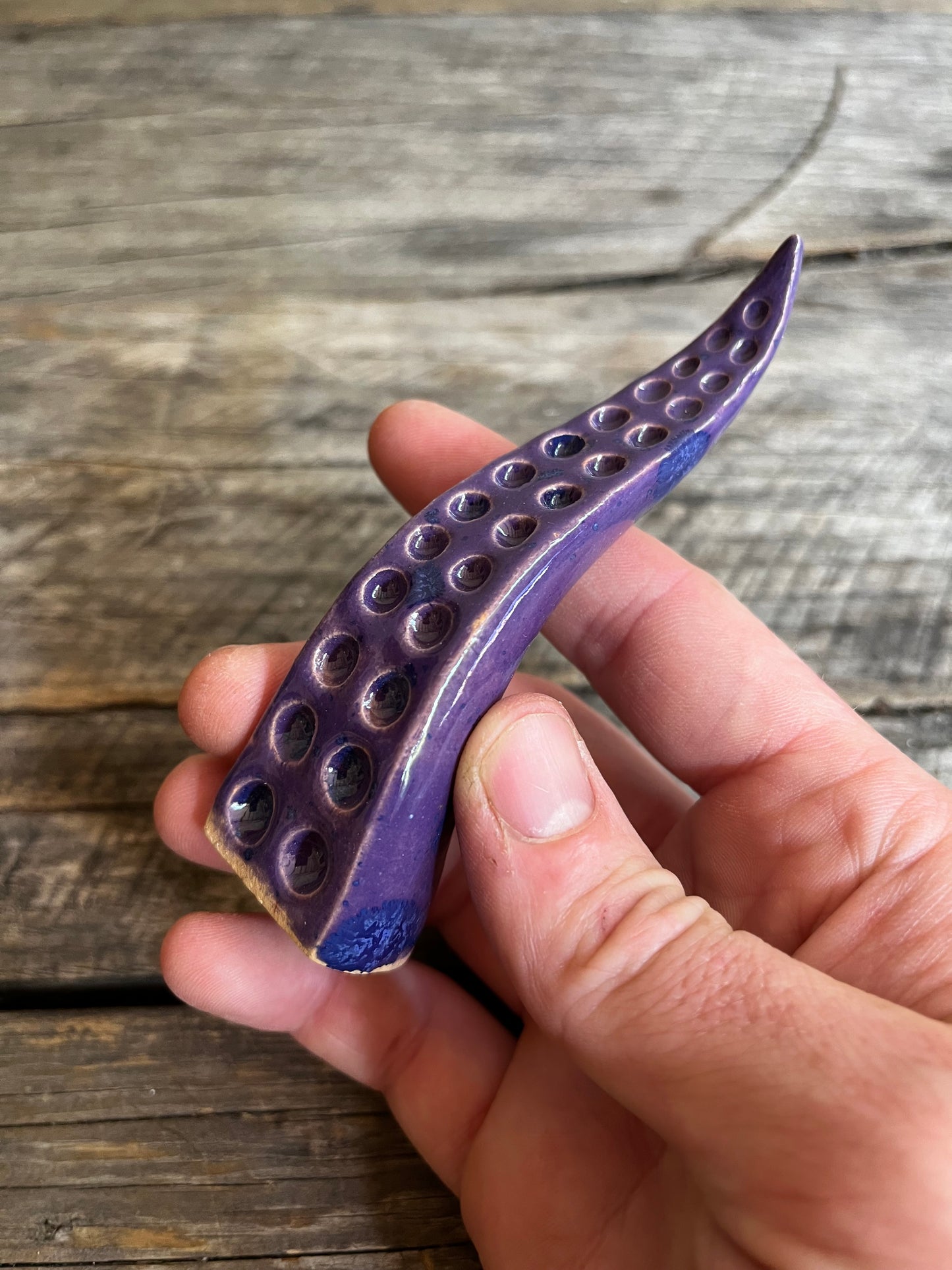 Ceramic tentacle ring holder
