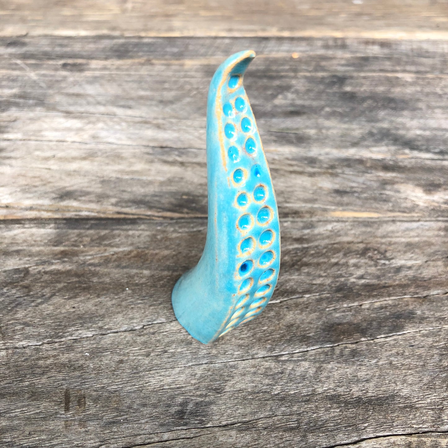 Ceramic tentacle ring holder