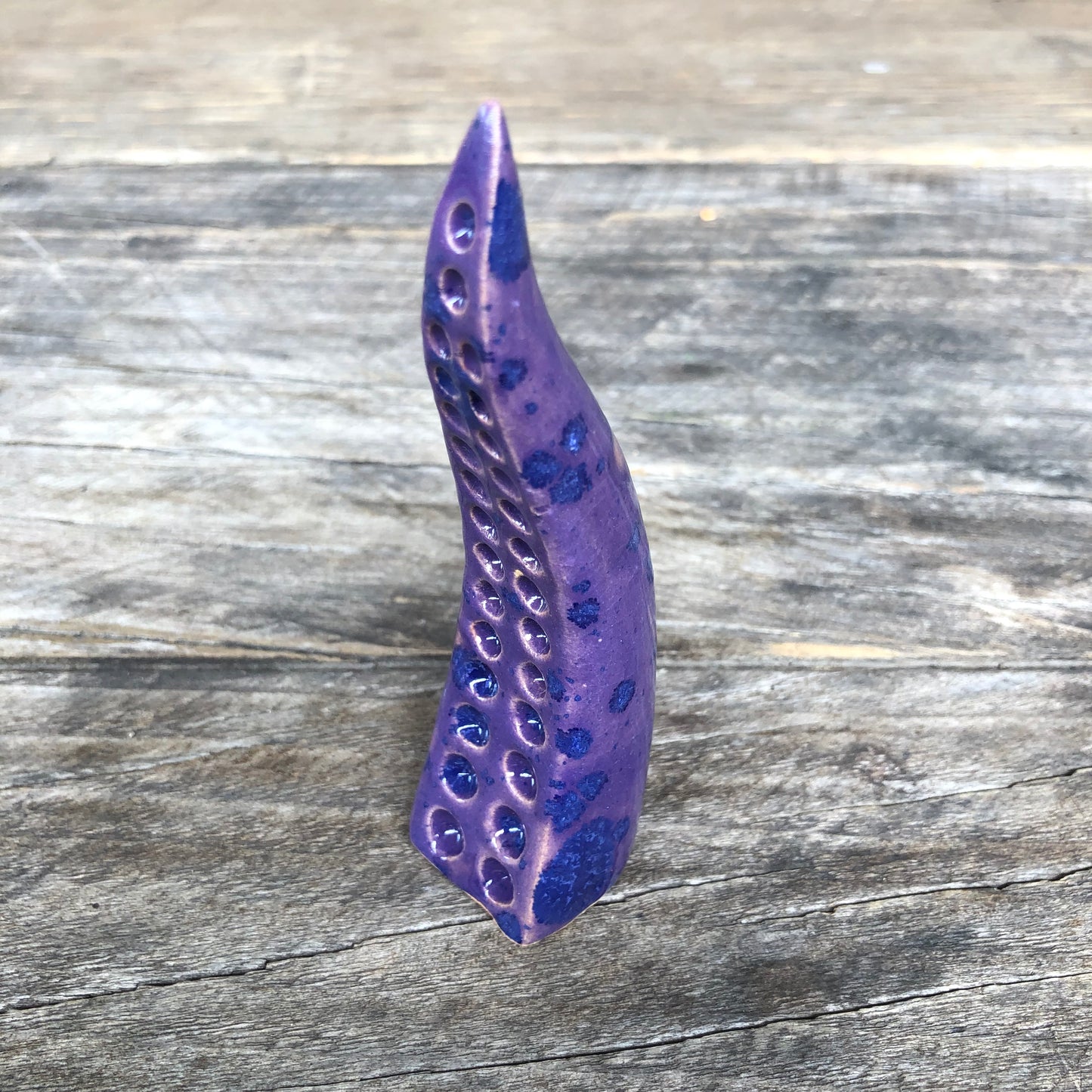 Ceramic tentacle ring holder