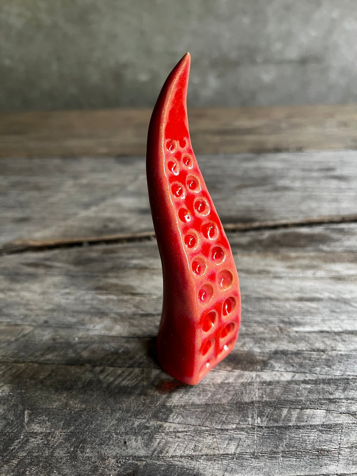 Ceramic tentacle ring holder