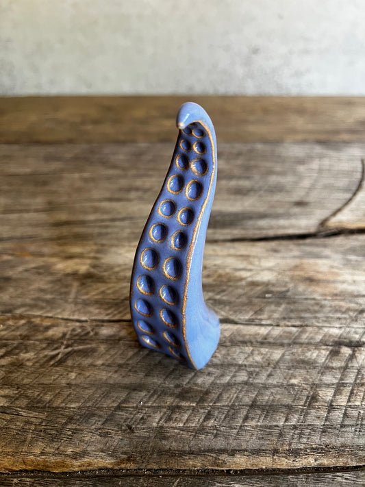 Ceramic tentacle ring holder