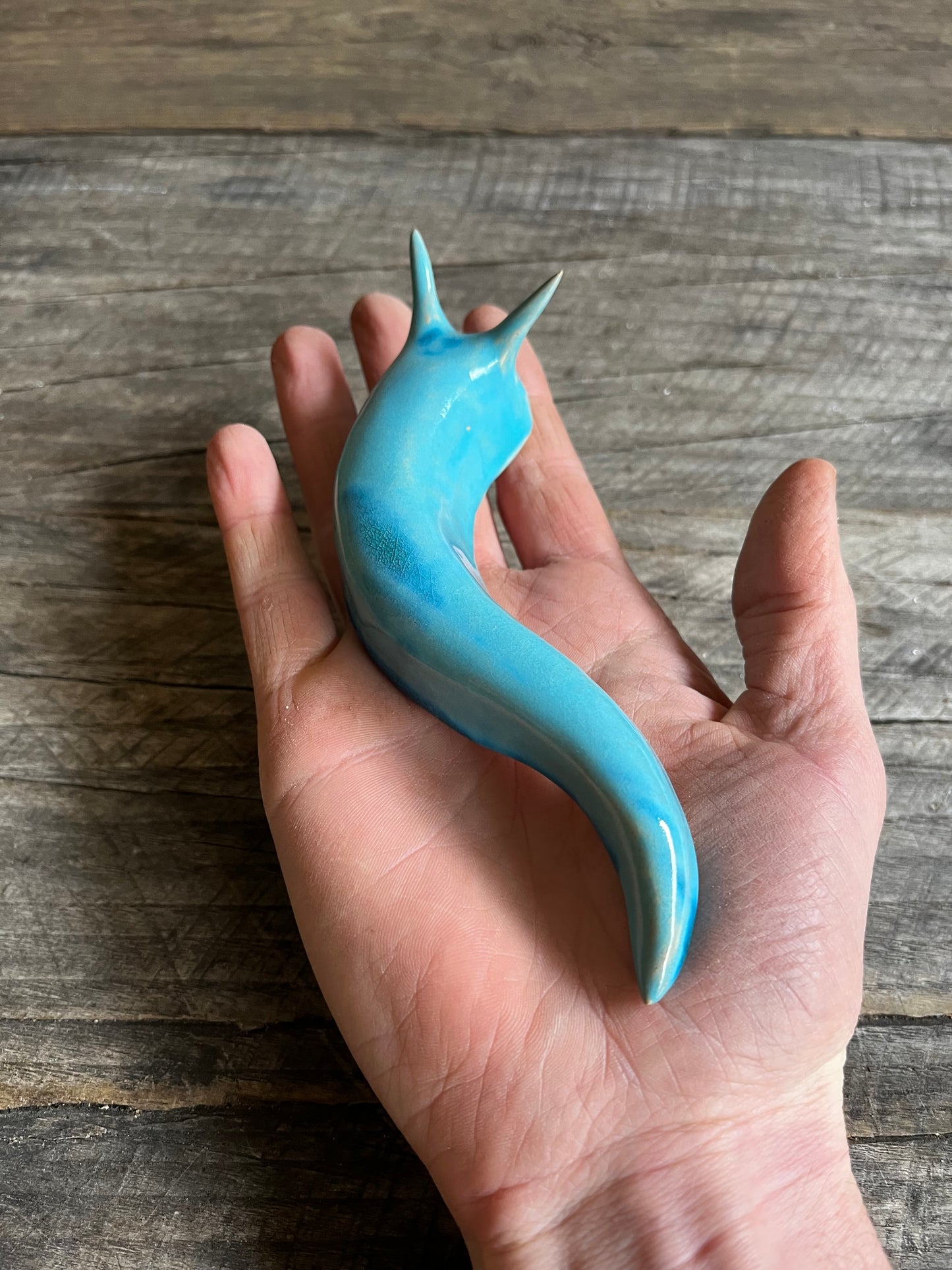 Ceramic Jumbo Slug