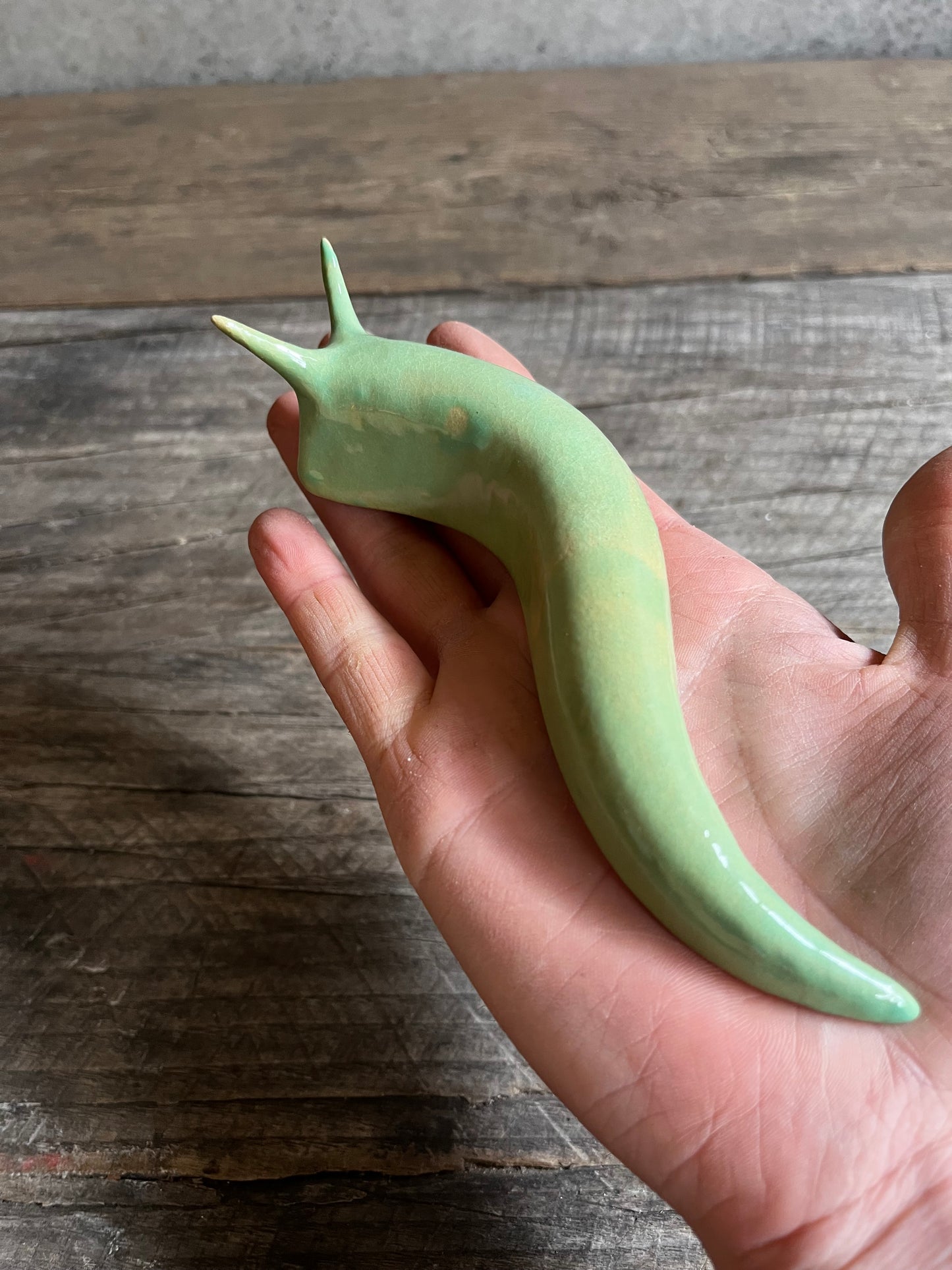 Ceramic Jumbo Slug