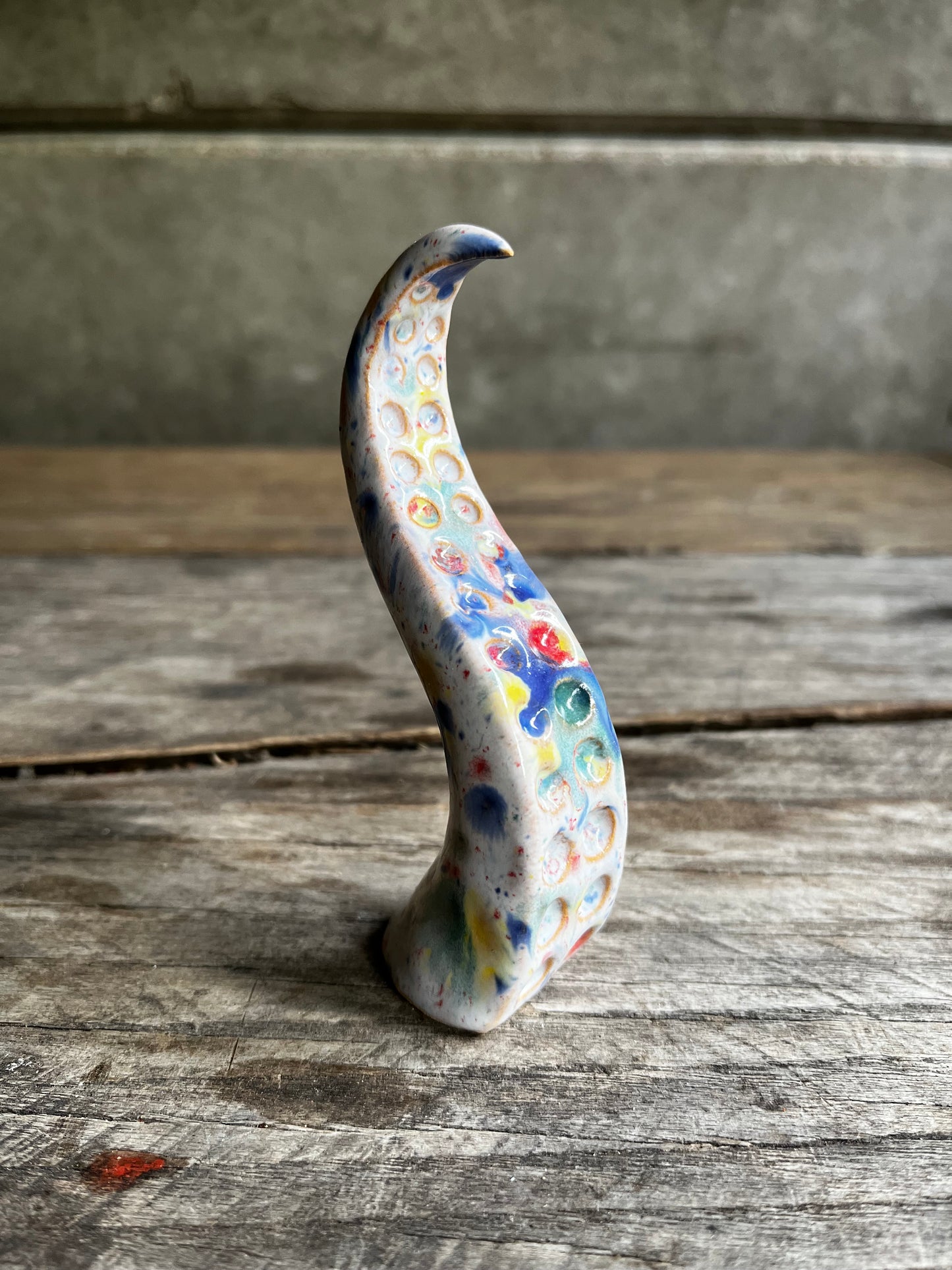 Ceramic tentacle ring holder