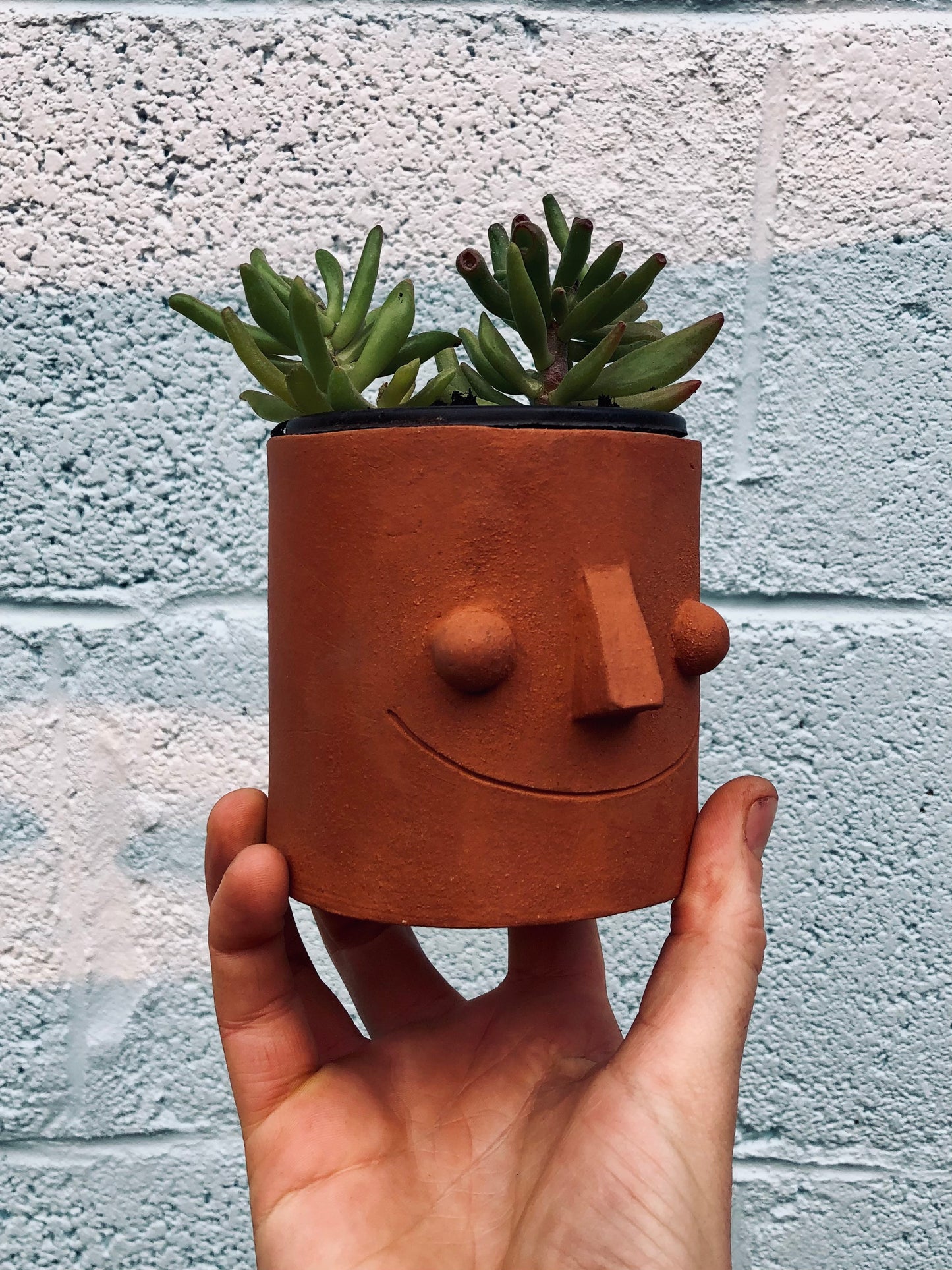 Smiley pot