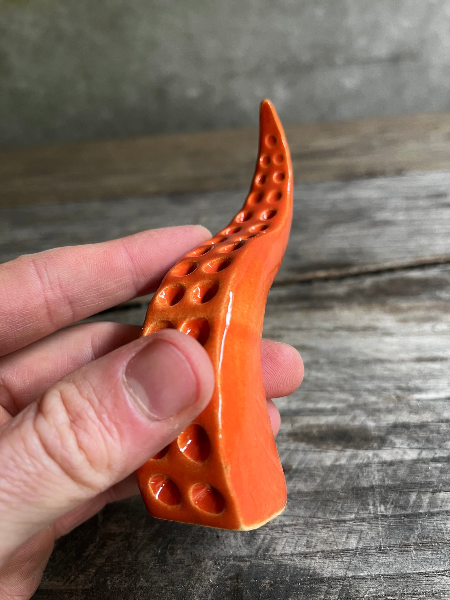Ceramic tentacle ring holder