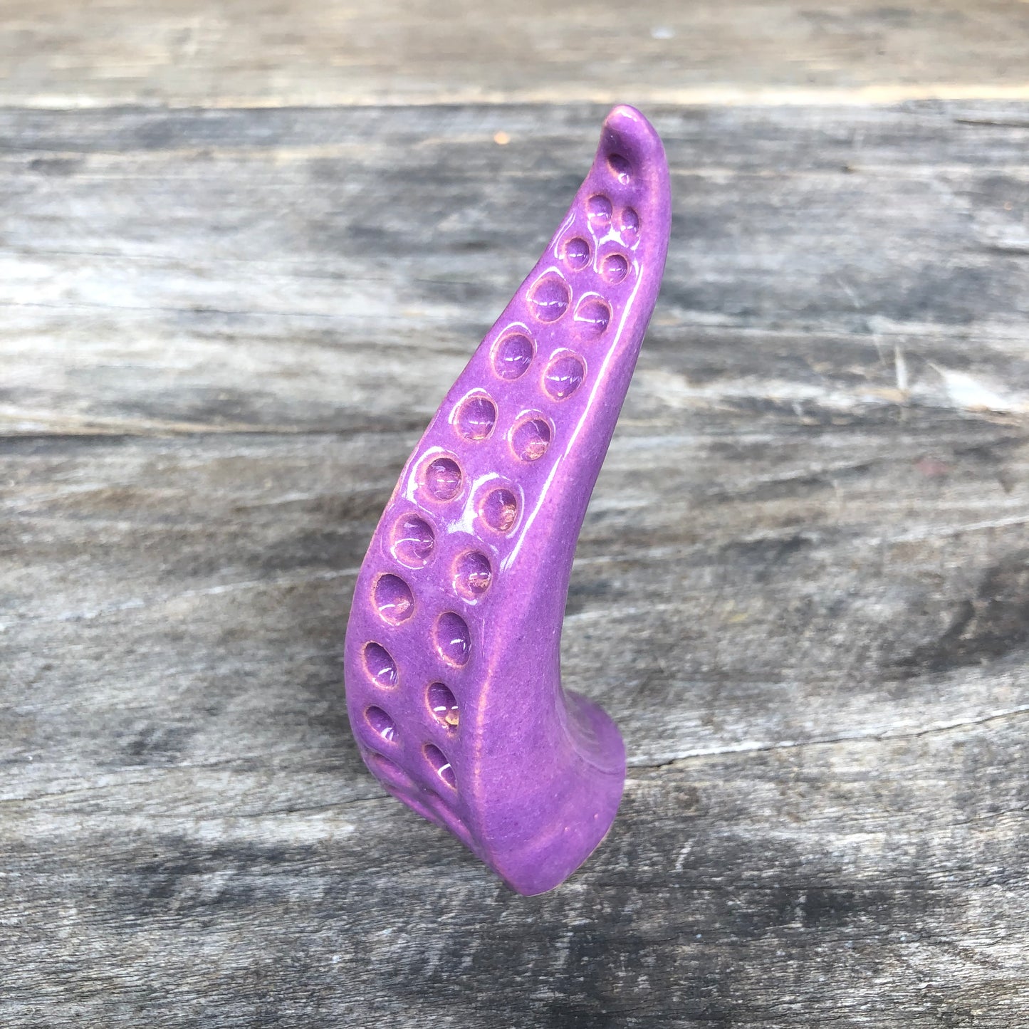 Ceramic tentacle ring holder