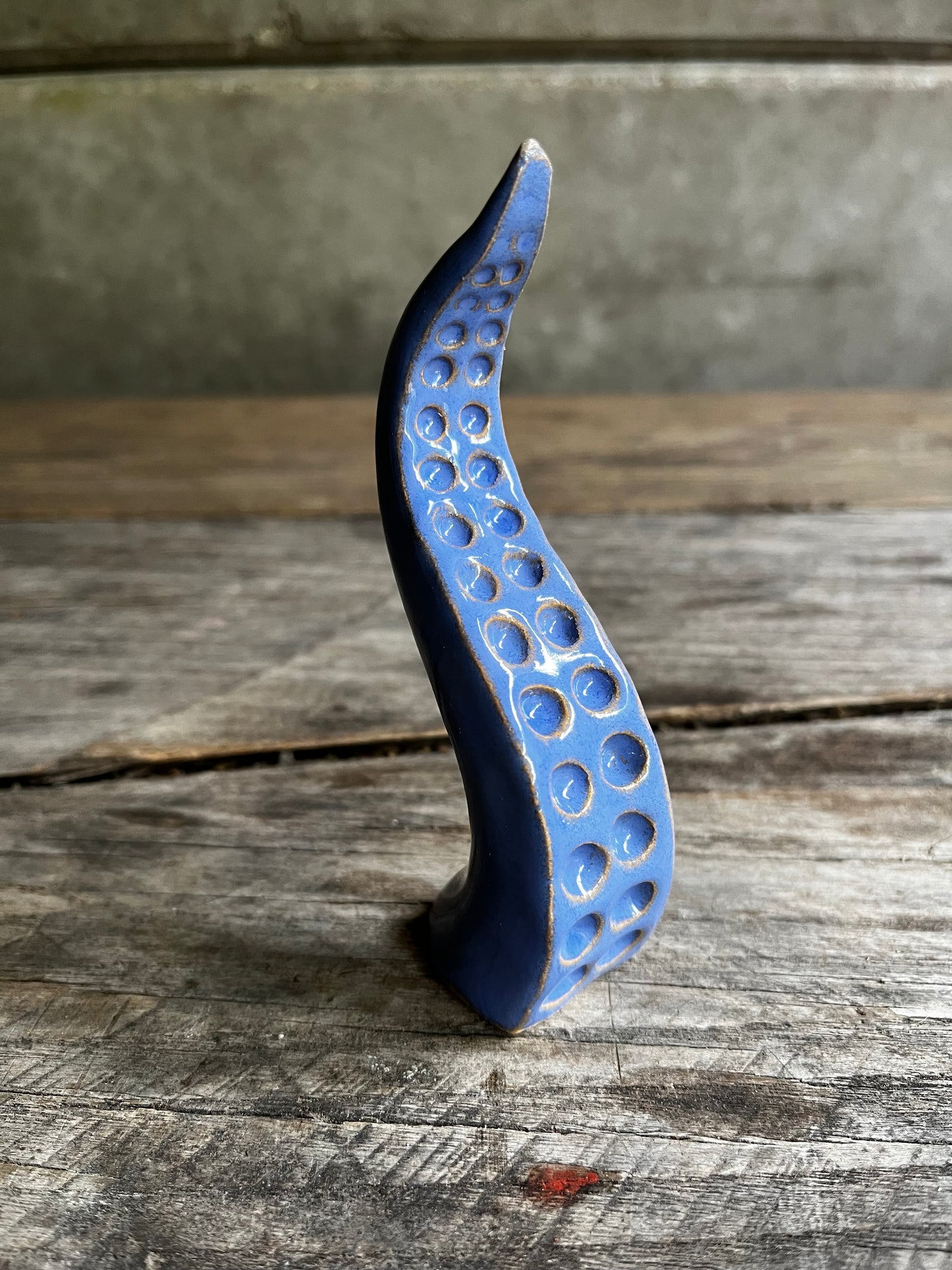 Ceramic tentacle ring holder