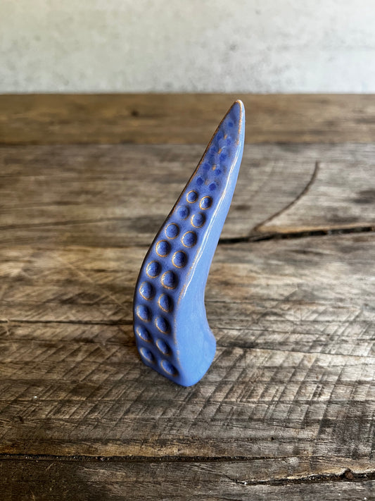 Ceramic tentacle ring holder