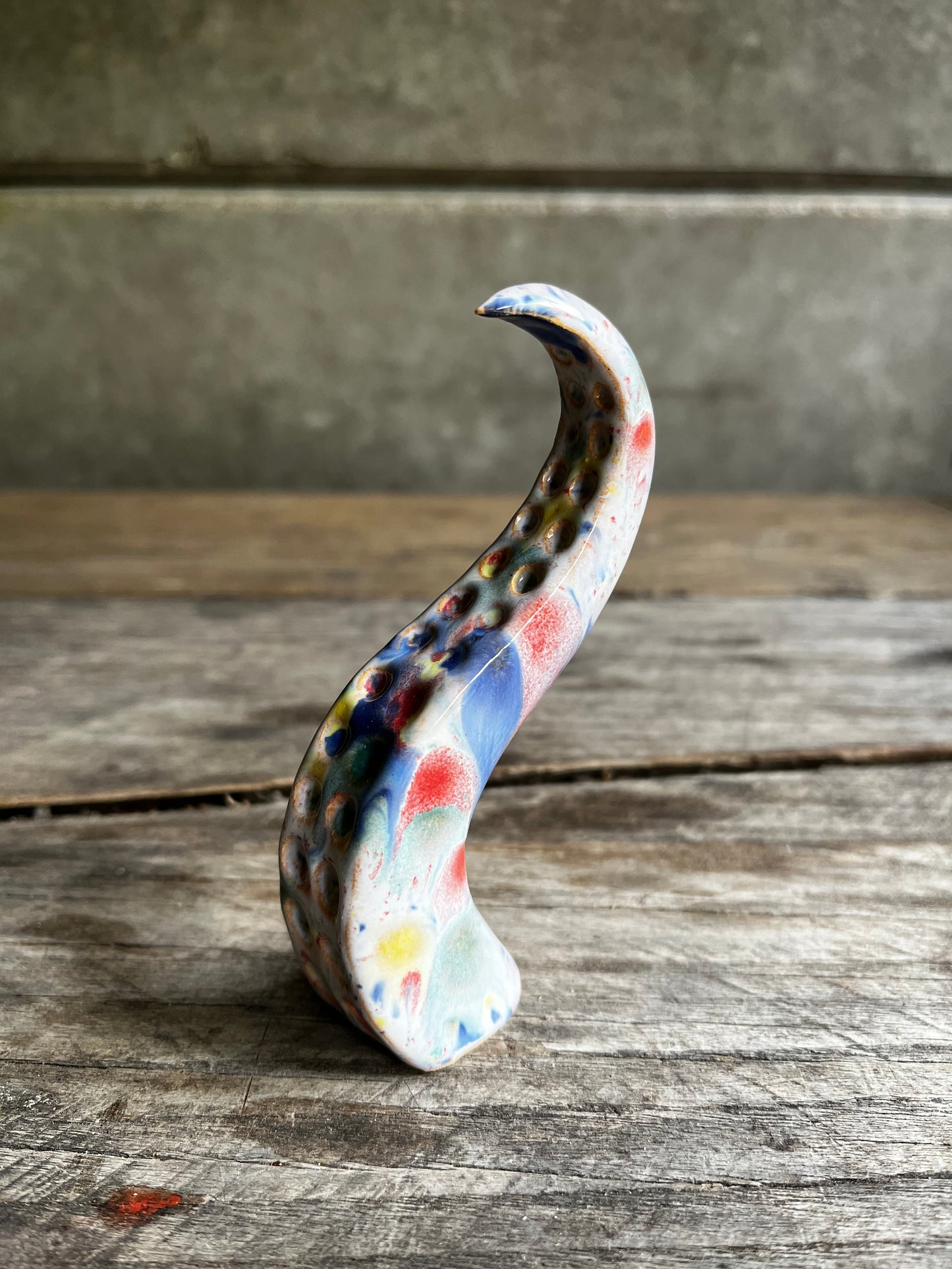 Ceramic tentacle ring holder