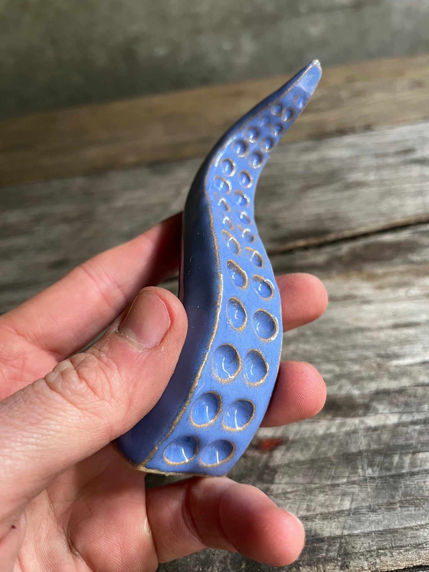 Ceramic tentacle ring holder