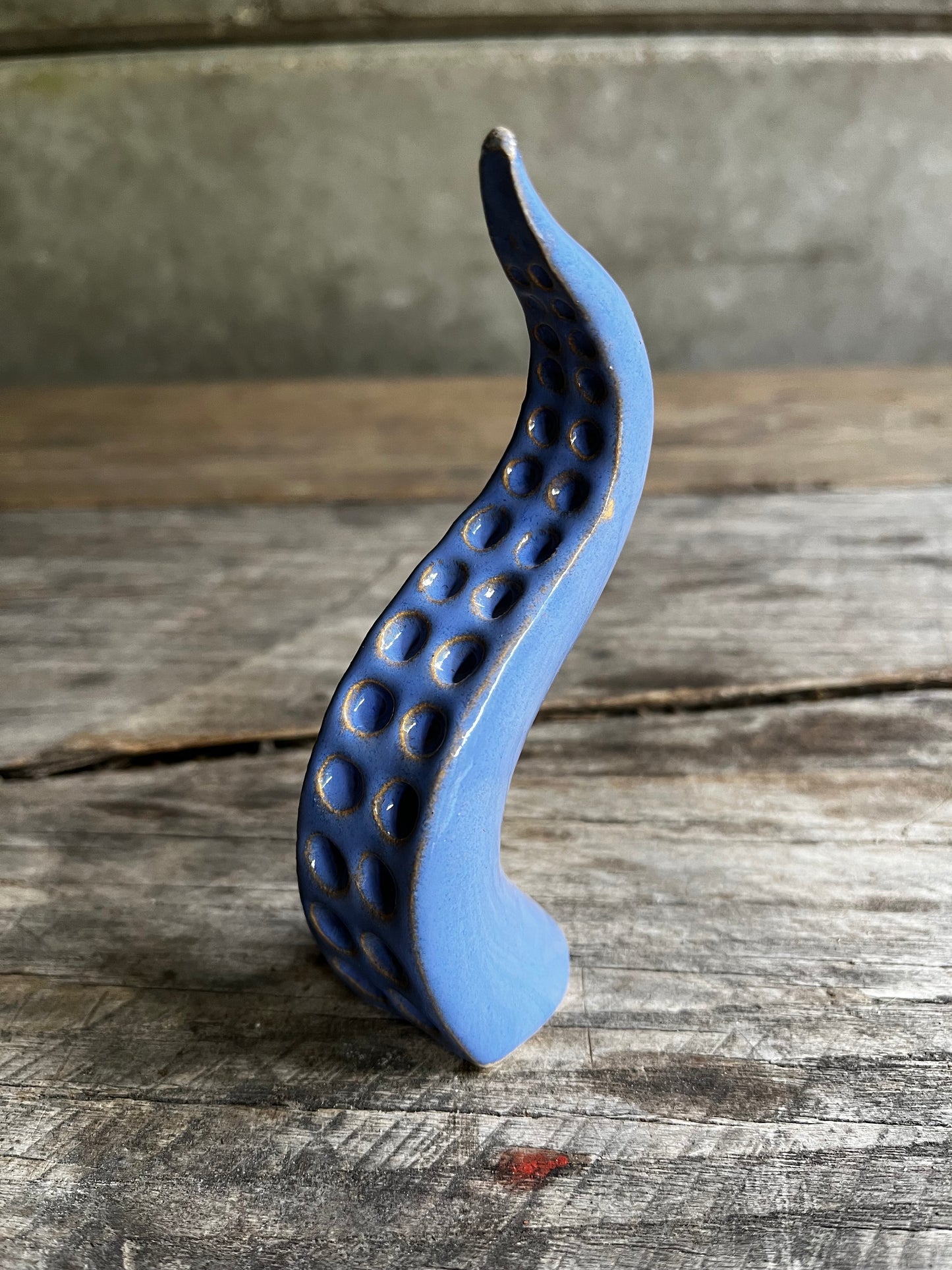 Ceramic tentacle ring holder