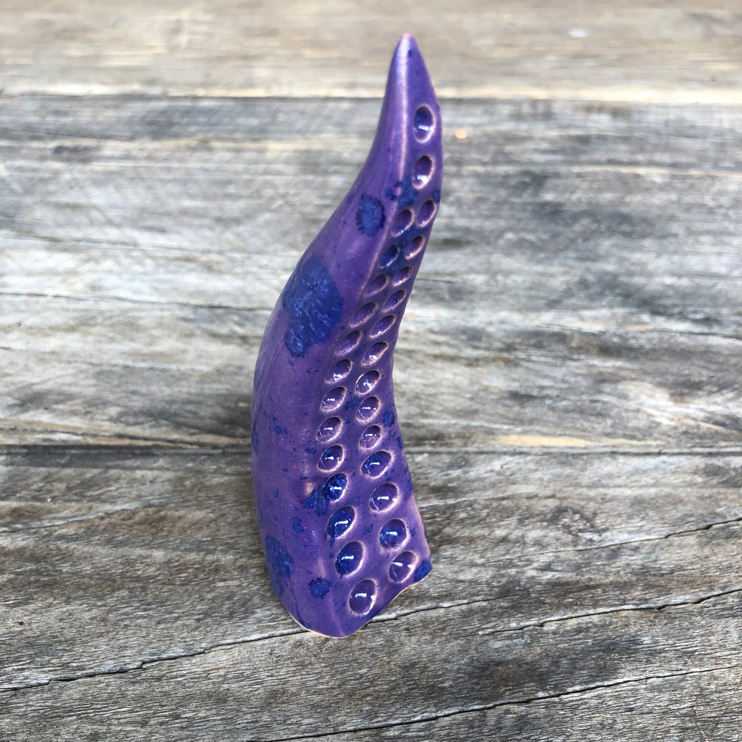 Ceramic tentacle ring holder