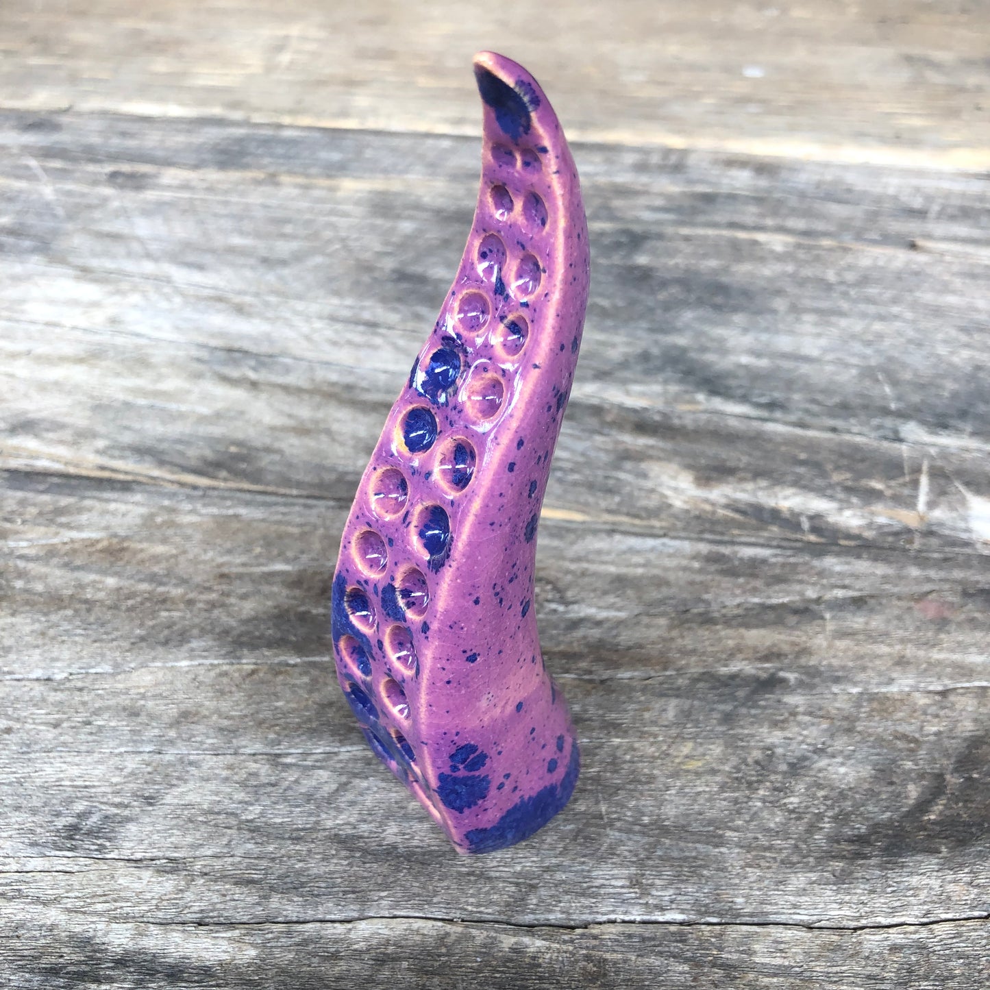 Ceramic tentacle ring holder